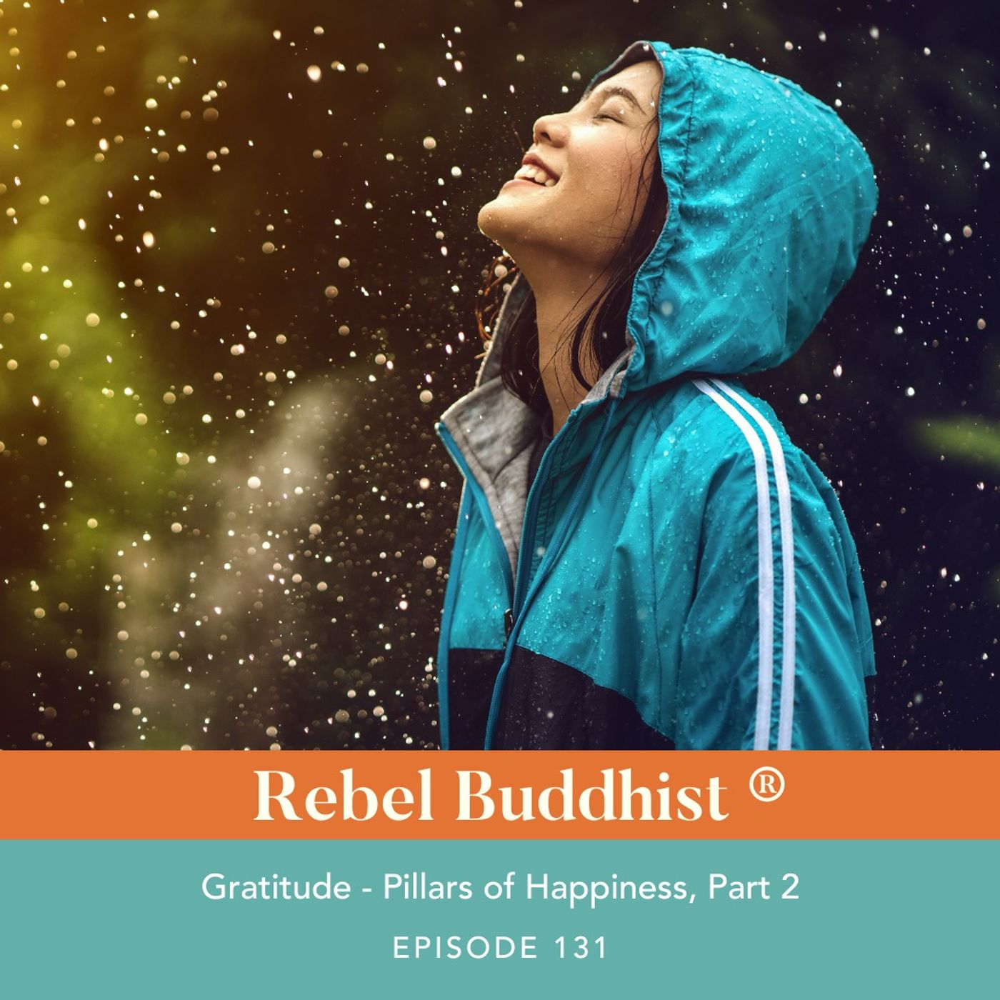 Gratitude - Pillars of Happiness, Part 2