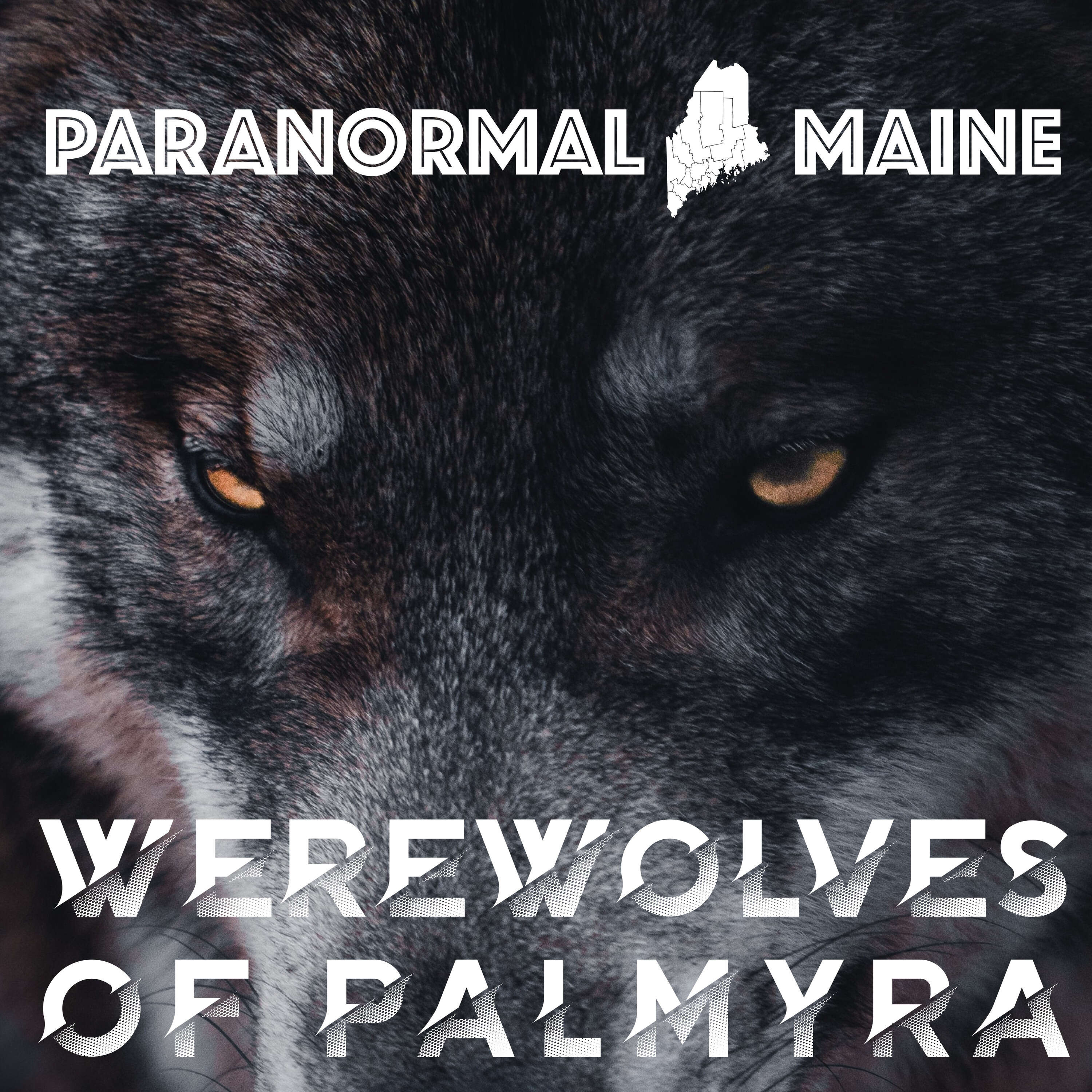 ⁣Werewolves of Palmyra