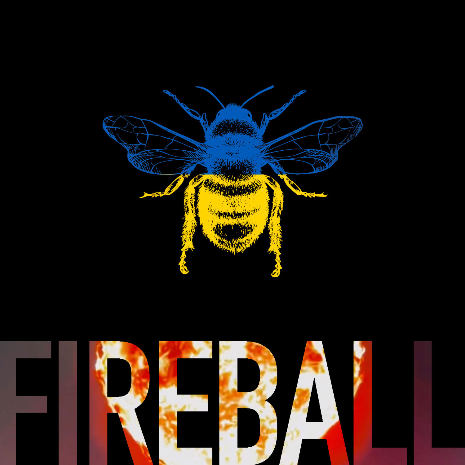 ⁣B Beats ~ Fireball, Ukraine Special