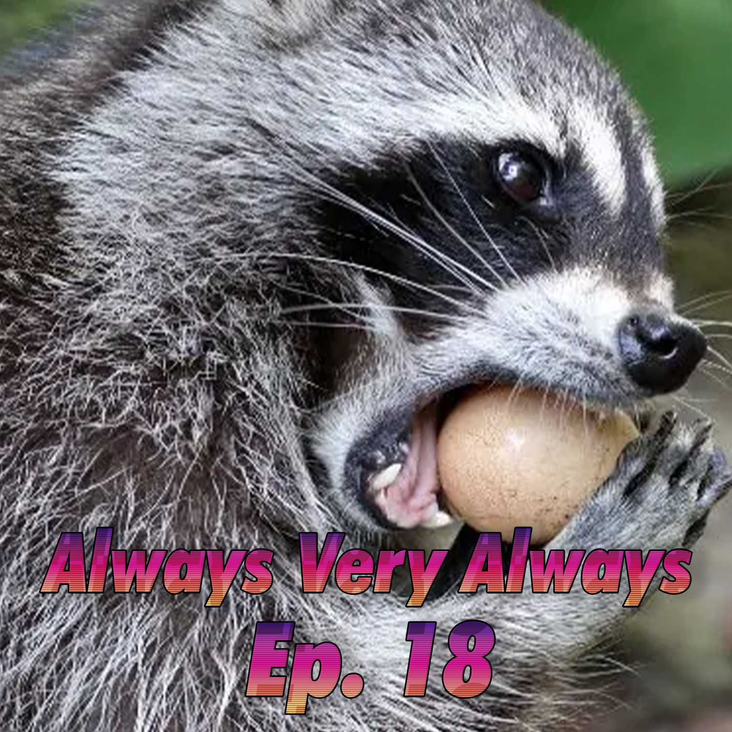 Normalize The Raccoon Lifestyle | Always Very Always Ep. 18