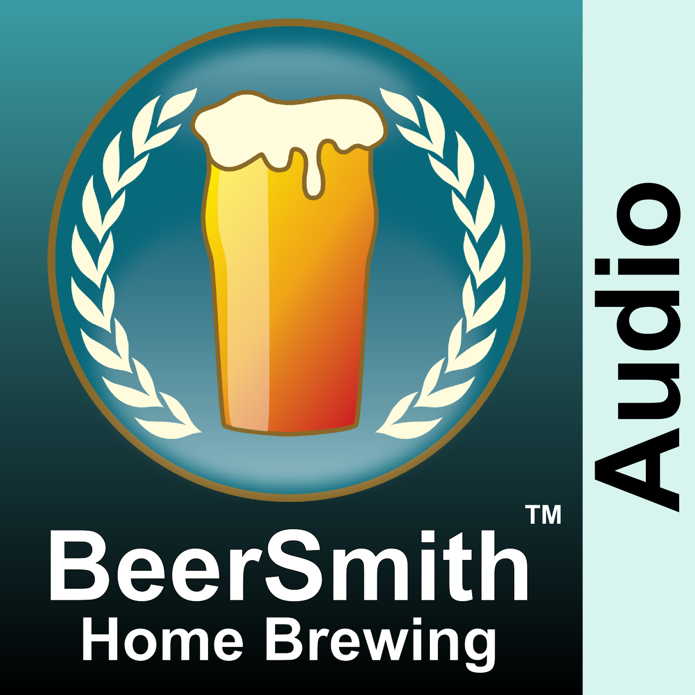 Beer Process Control with Colin Kaminski – BeerSmith Podcast #269