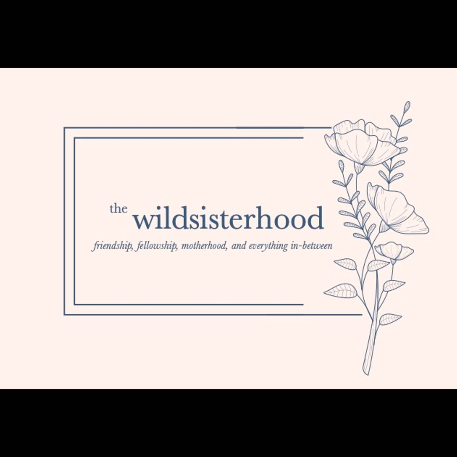 the wildsisterhood podcast 