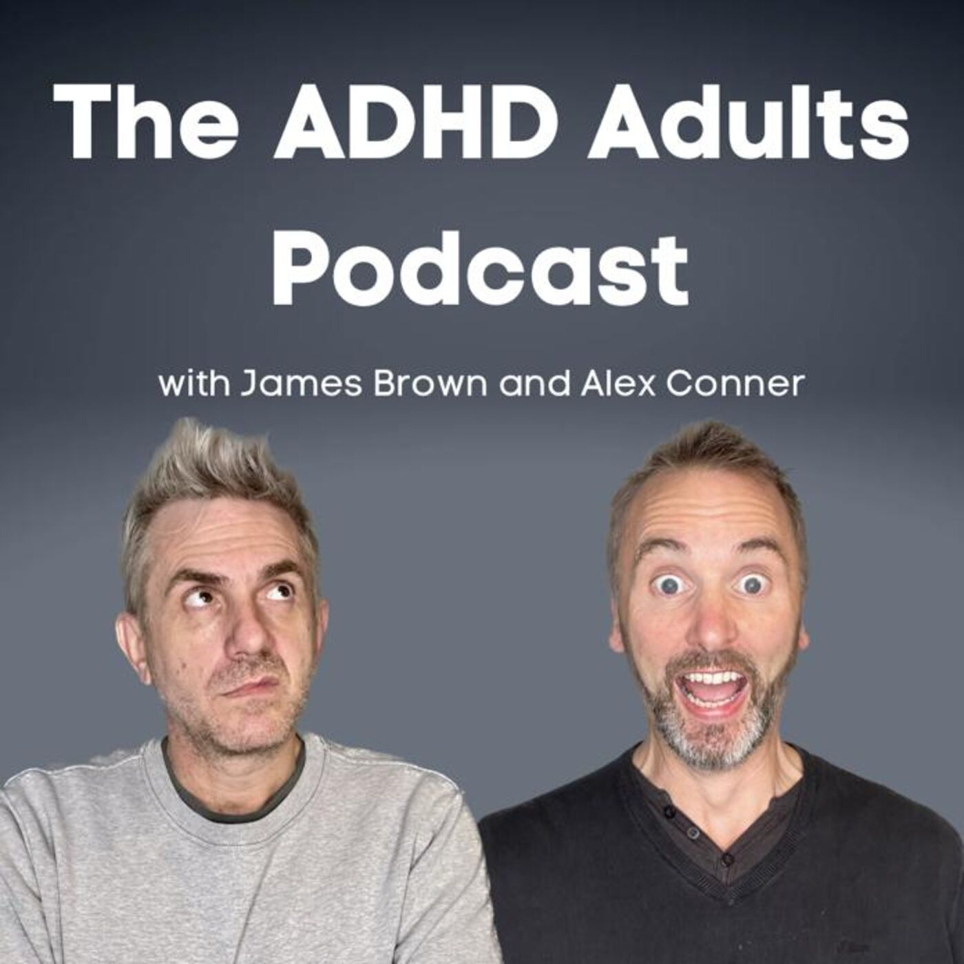 The ADHD Adults Podcast 