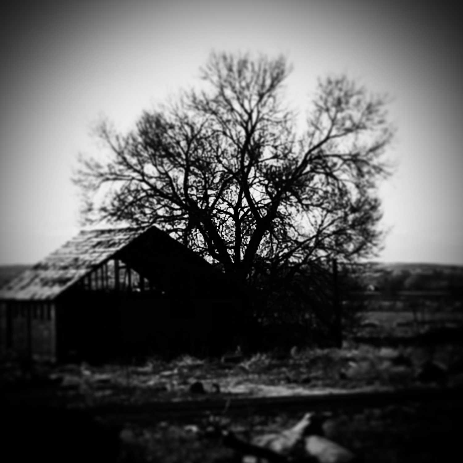 Something Like Heaven