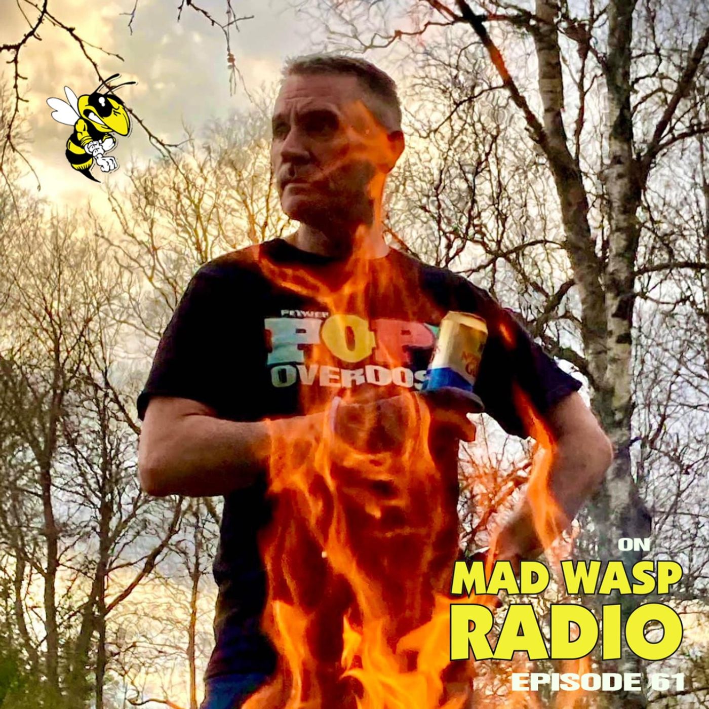 Power Pop Overdose on Mad Wasp Radio 61 11/12/2022