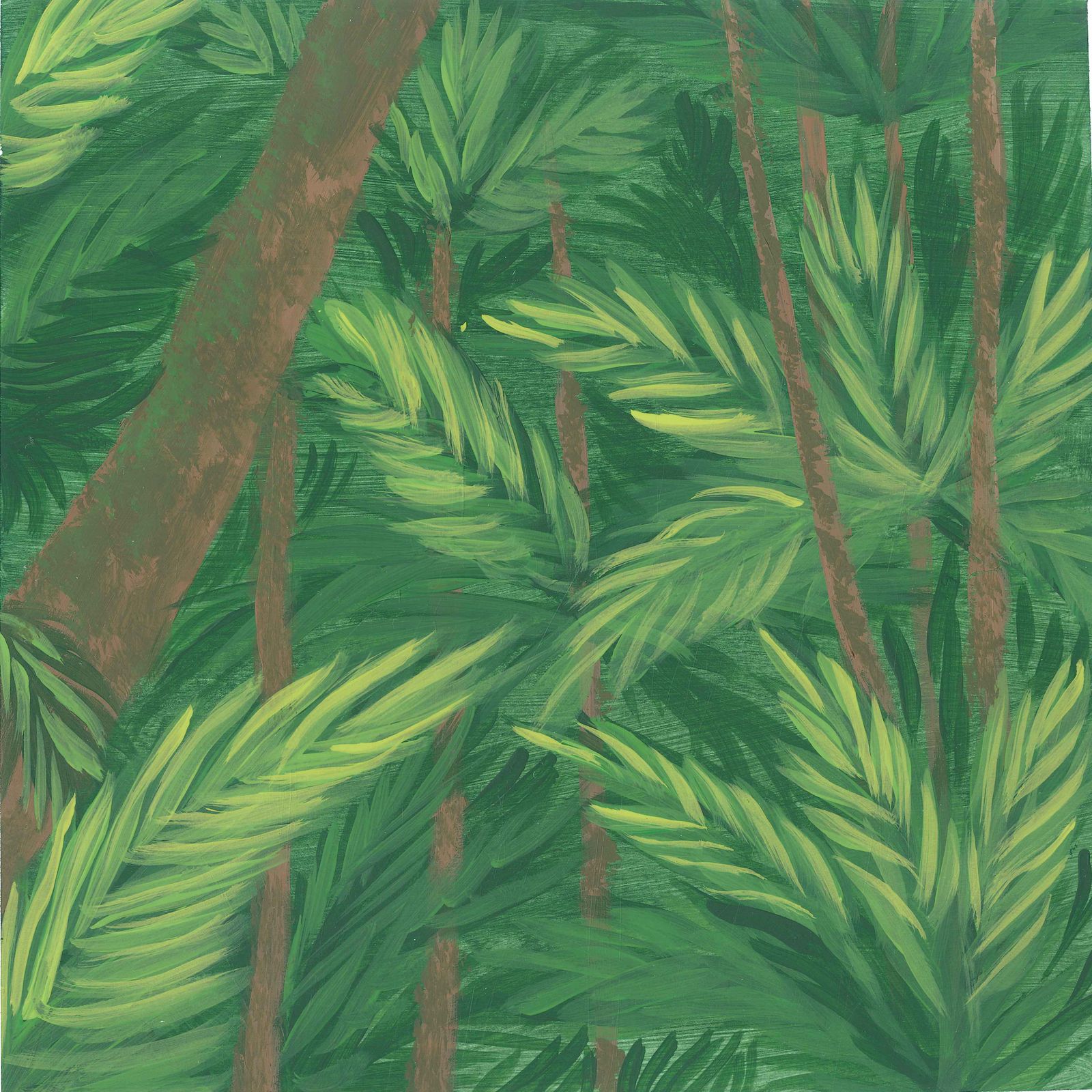 ⁣Reassuring Soft Rain in the Rainforest of Costa Rica