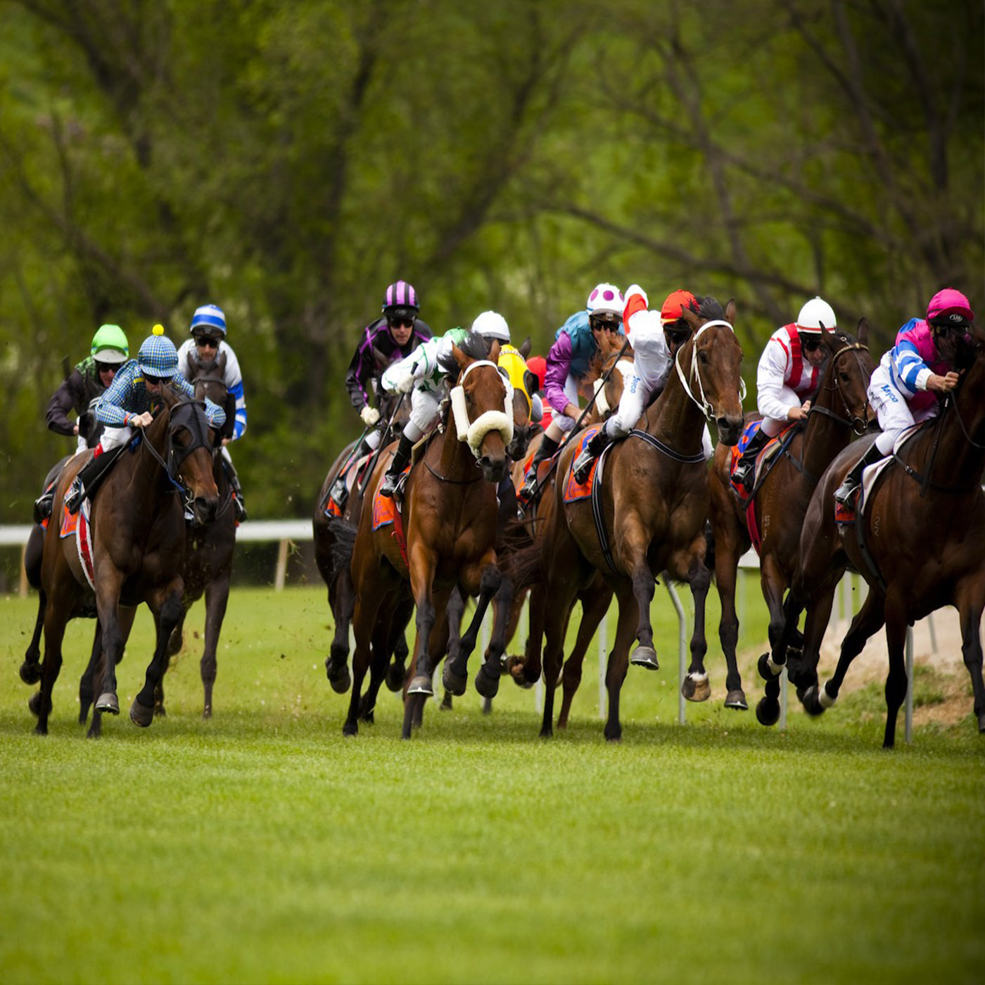 ⁣Form Preview - bet365 Park Kyneton with Mark Hunter - 15th November