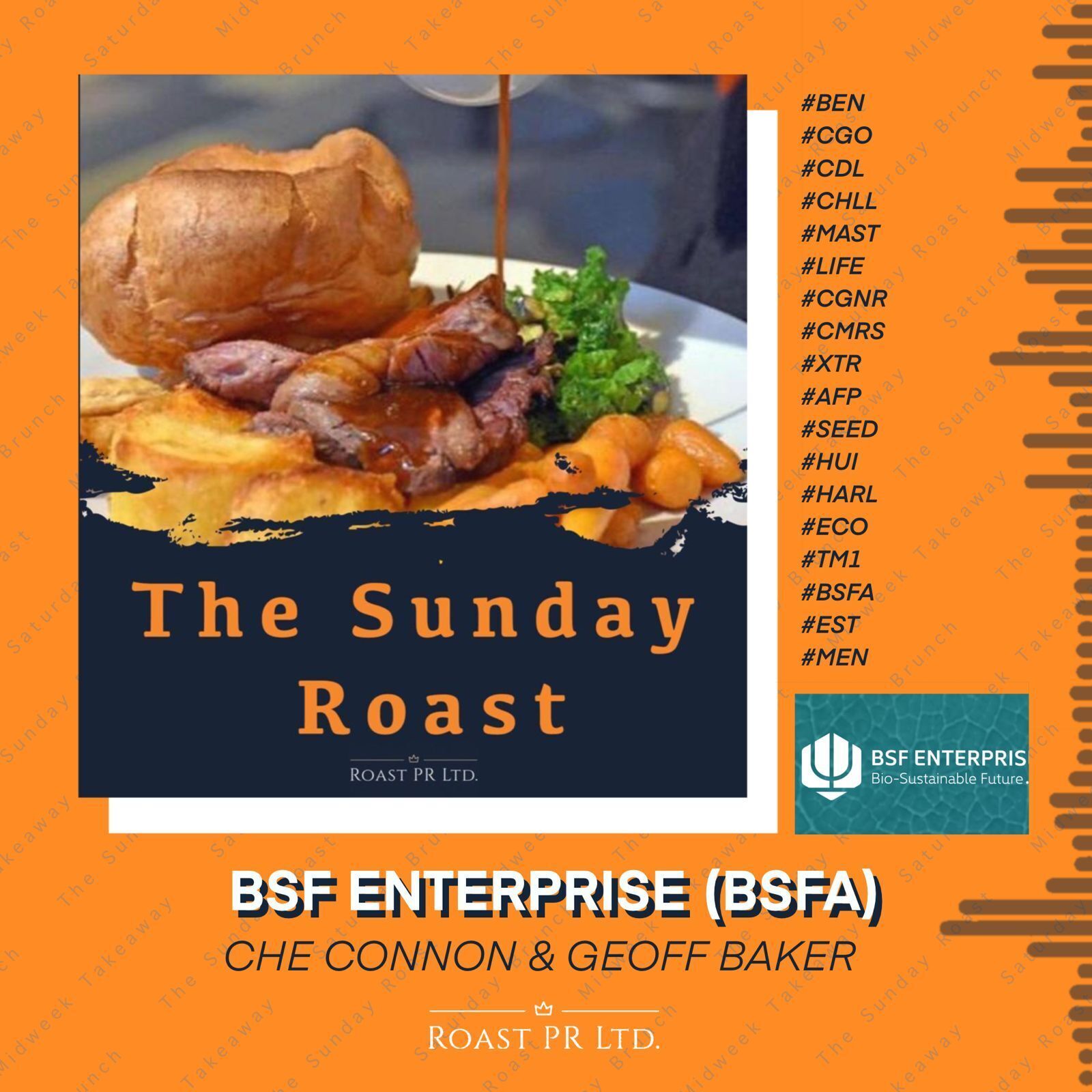 Sunday Roast featuring Che Connon, CEO of 3D Bio-tissues and Geoff Baker, Director of BSF Enterprises (LSE:BSFA) #BEN #CGO #CDL #CHLL #MAST #LIFE #CGNR #CMRS #XTR #AFP #SEED #HUI #HARL #ECO #TM1 #BSFA #EST #MEN