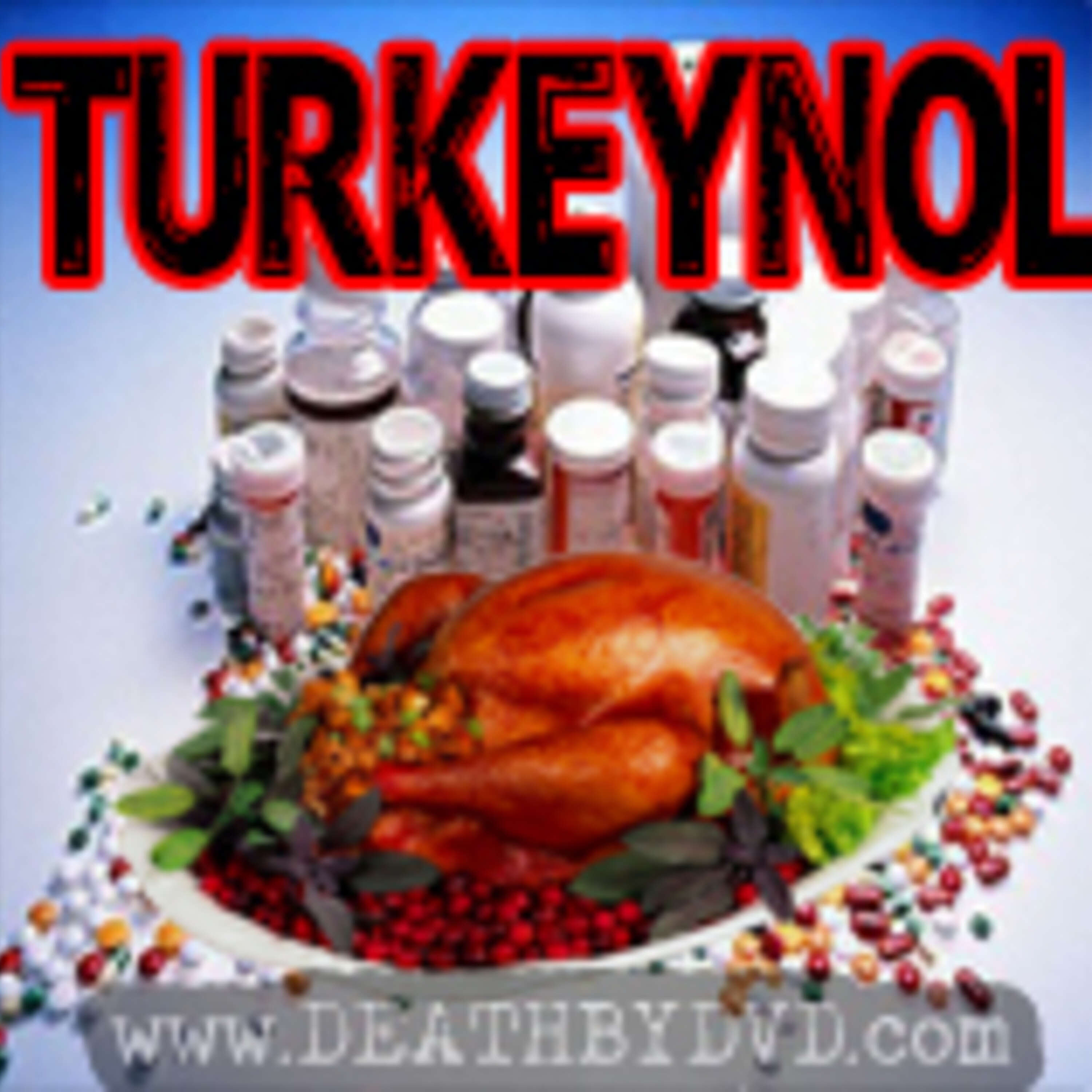 TURKEYNOL : The turkey that will save the holidays