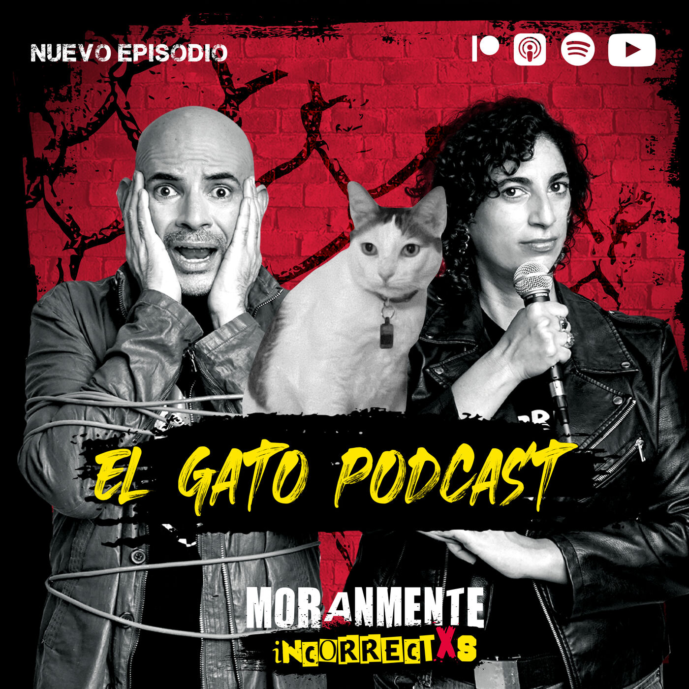 El Gato Podcast