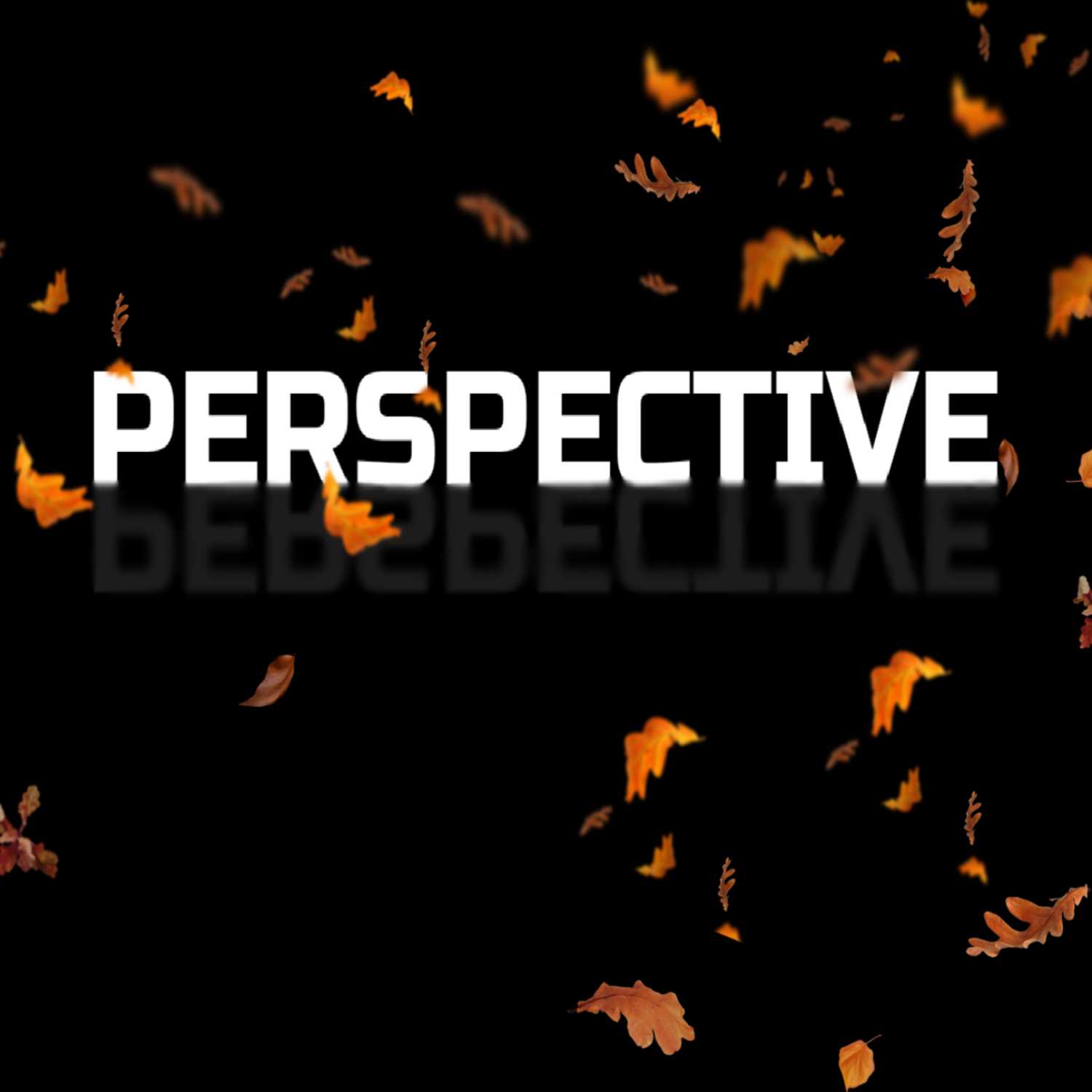 Perspective Podcast Episode 8 - Thanksgiving Special