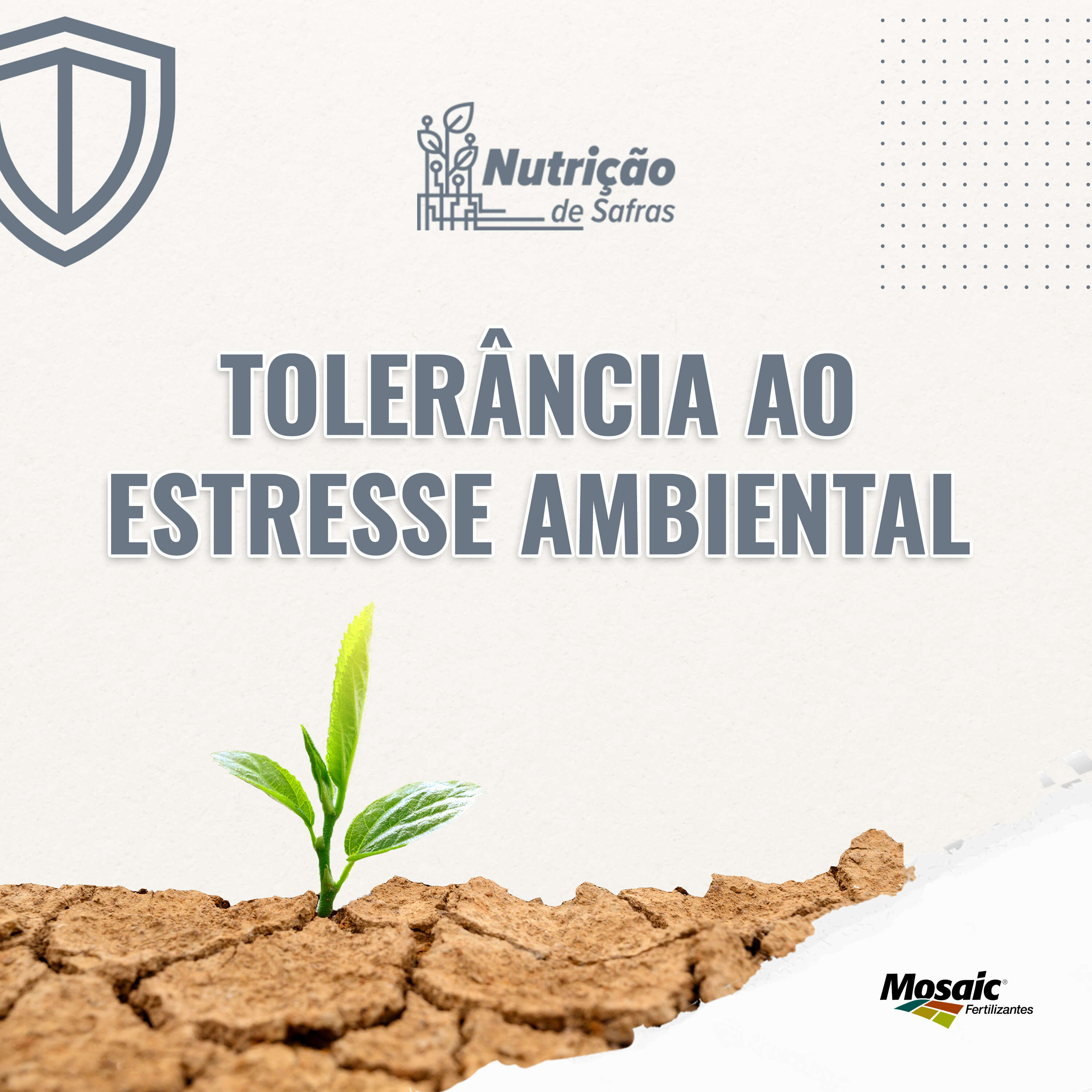 Tolerância ao estresse ambiental