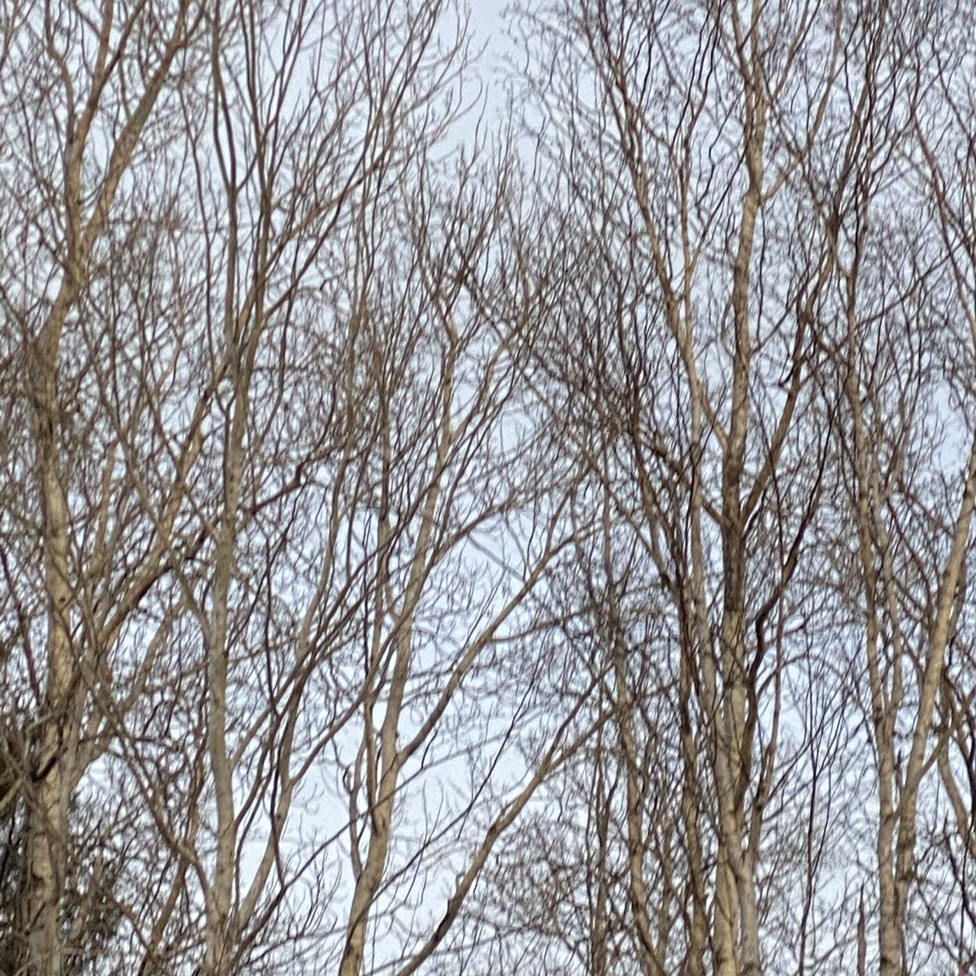 Unusual Ways to Connect With Your Heart