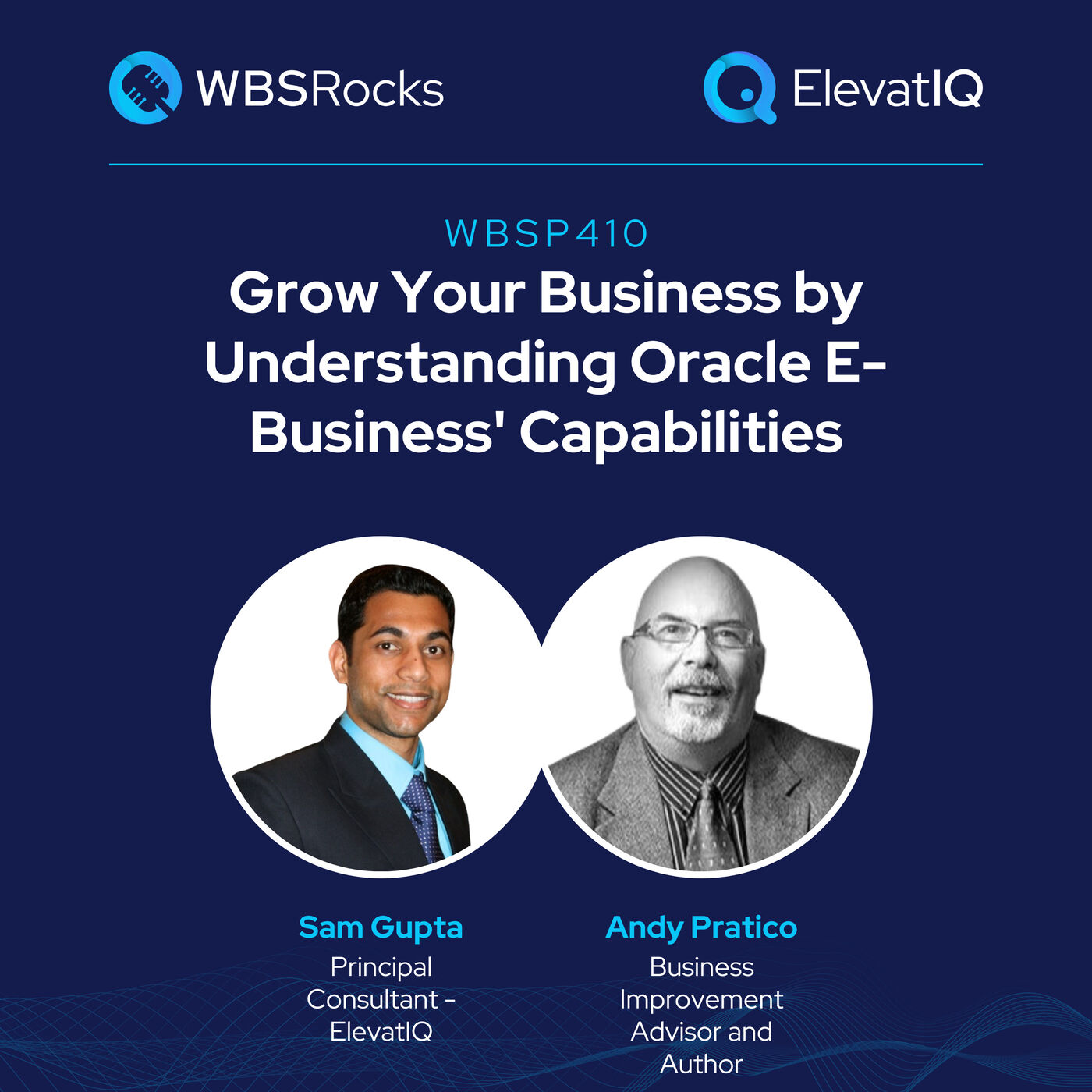 WBSP410: Grow Your Business by Understanding Oracle E-Business' Capabilities, an Objective Panel Discussion