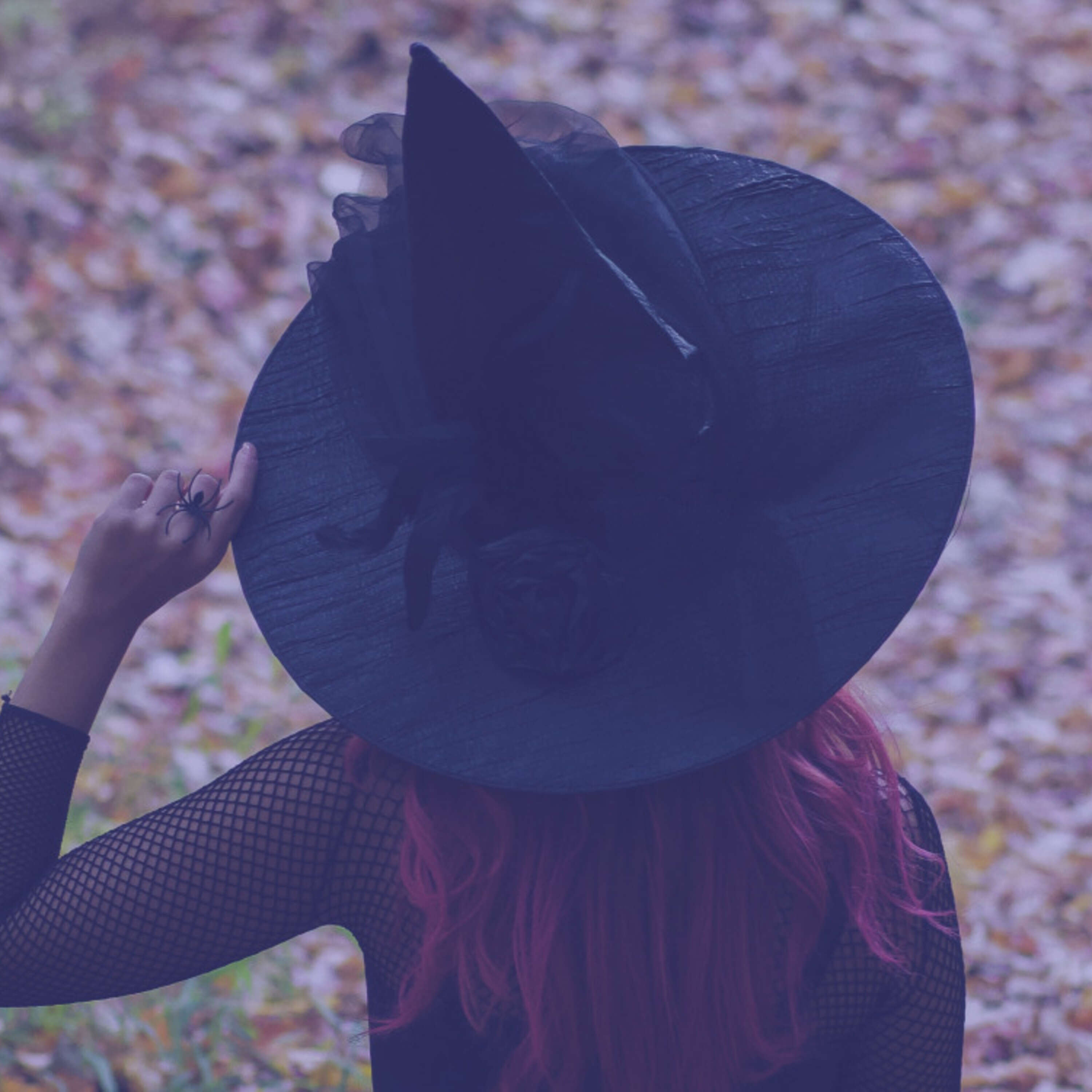 #312 | A History of Witches | Misogyny, Magic and Murder