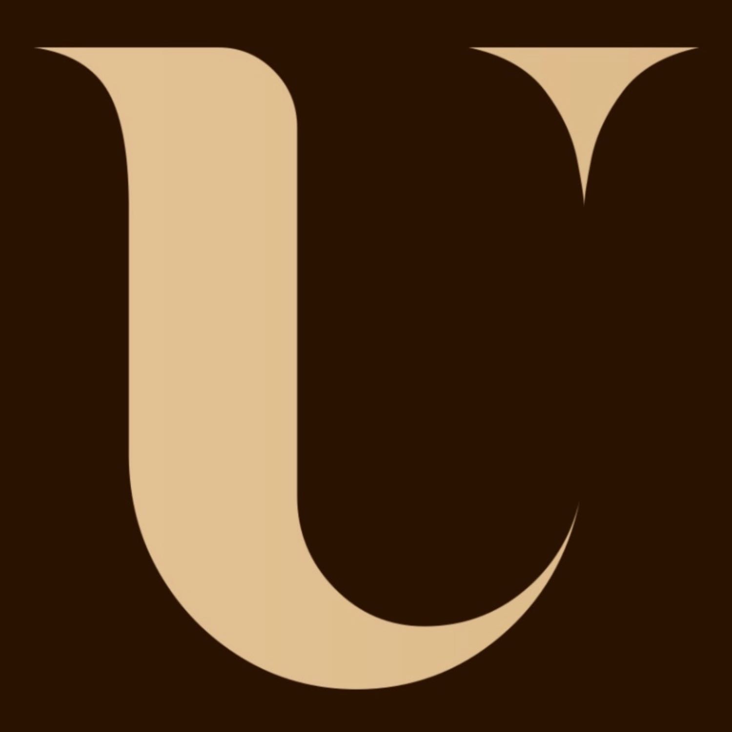 new york stand the fuck up 