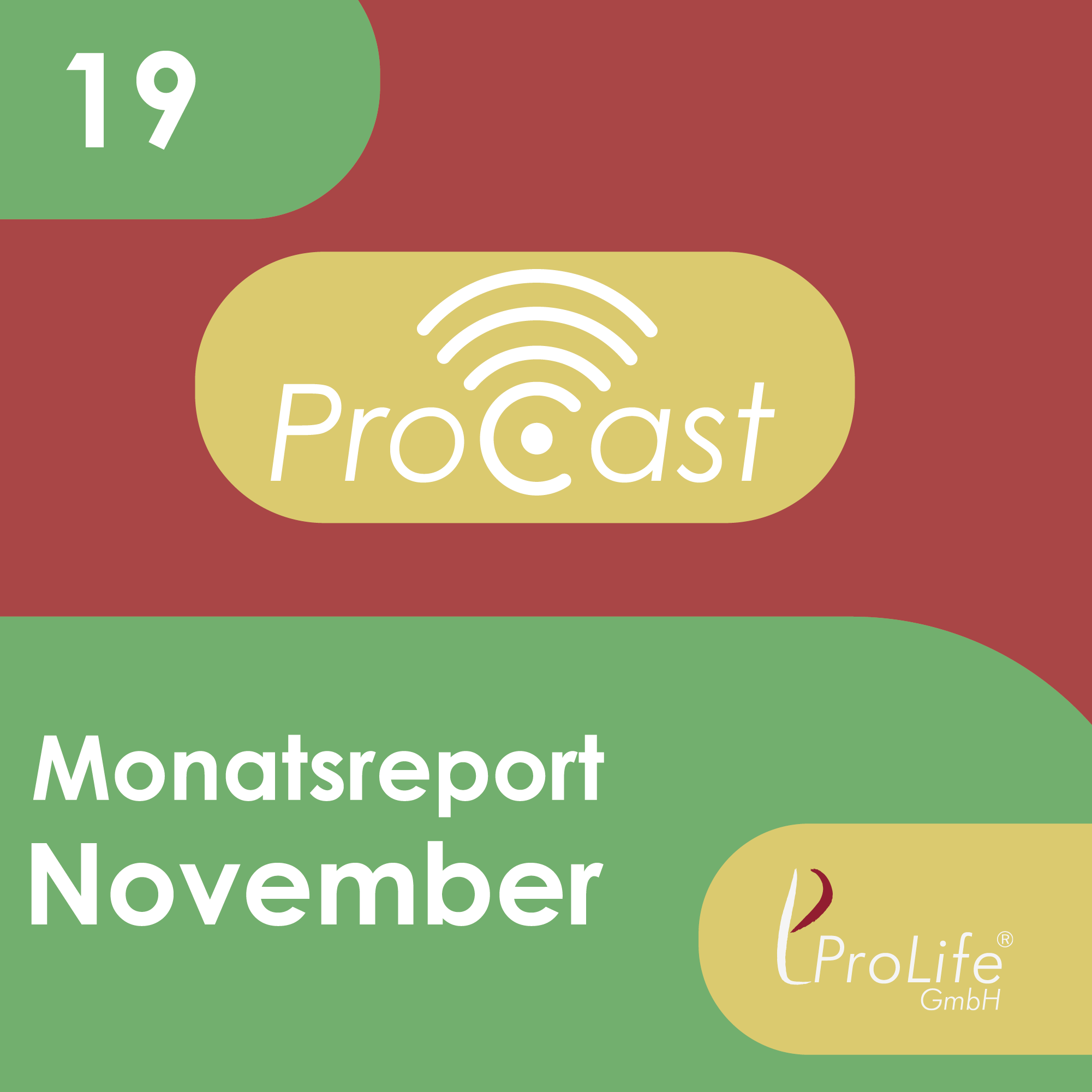 Monatsreport November