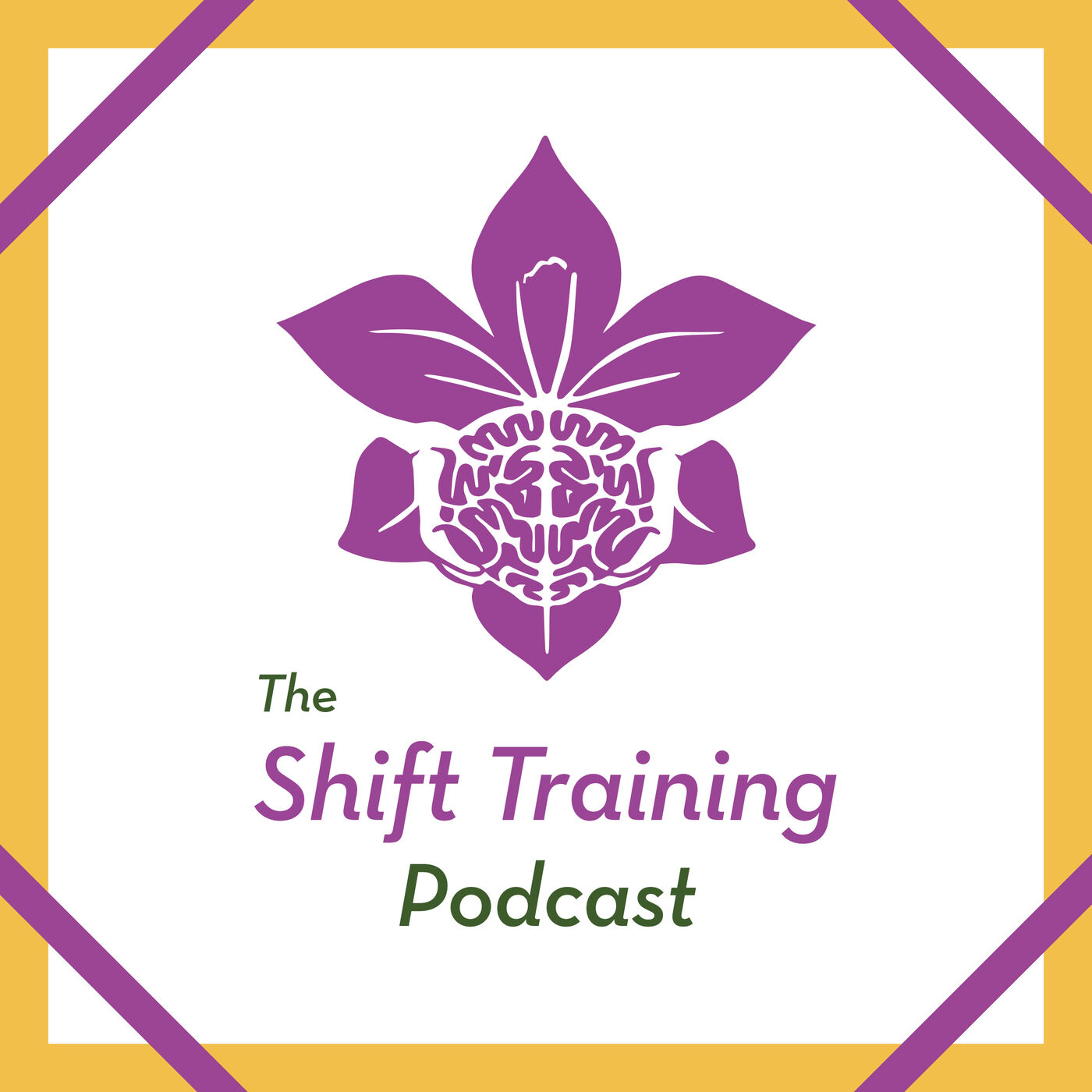 What Does Shift Training Actually Do? | The Shift Training Podcast