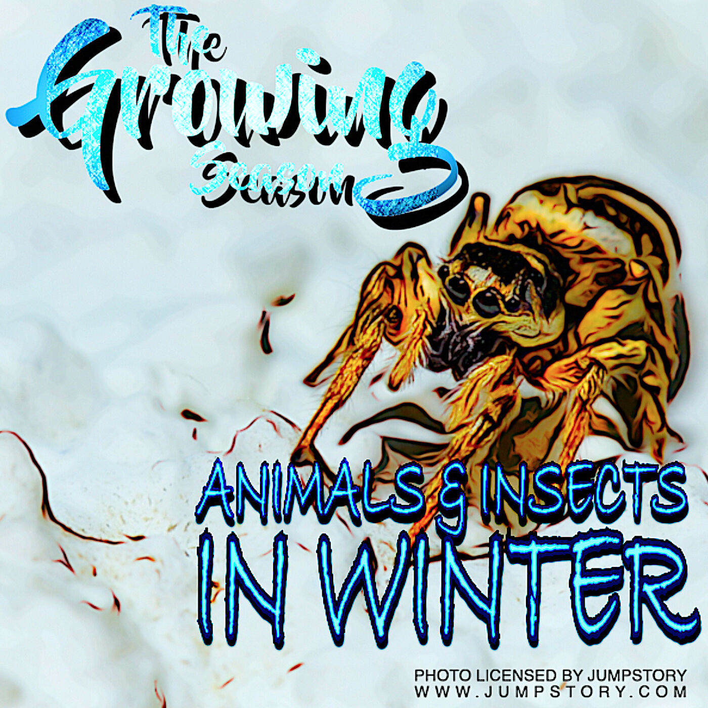 The Growing Season, Nov 19, 2022 - Insects and Animals in Winter