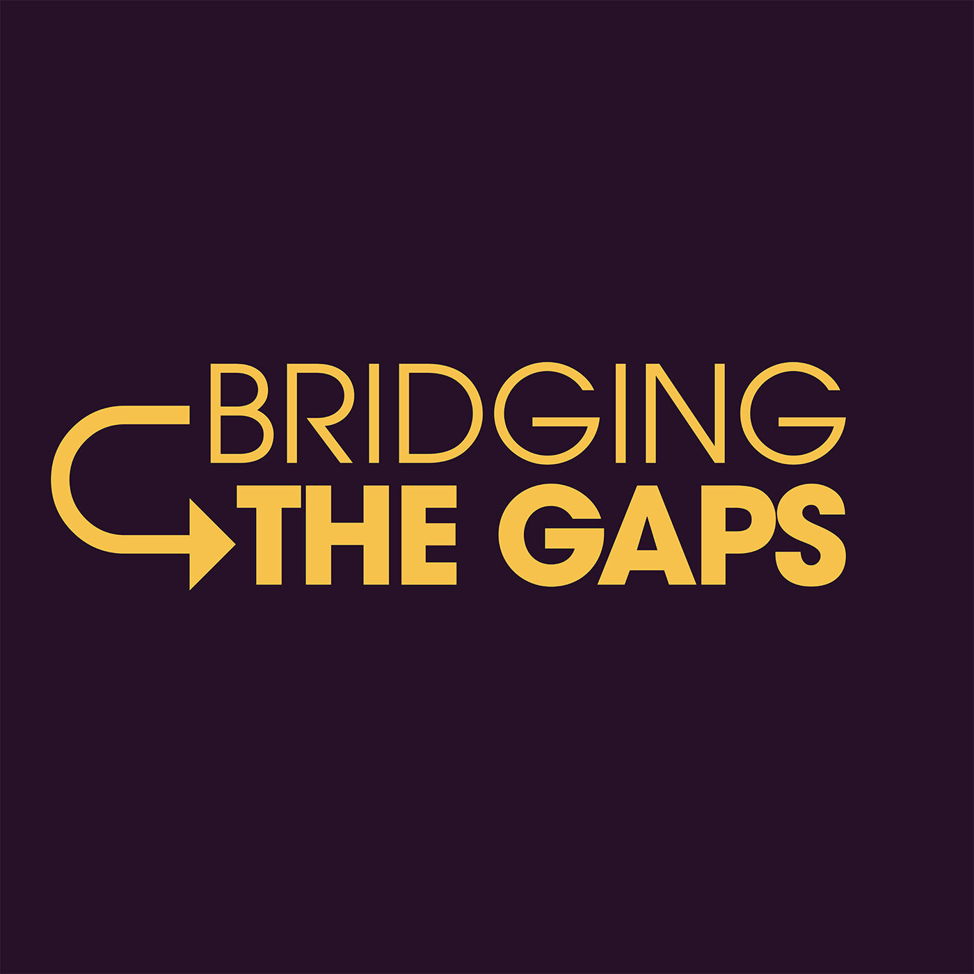 Bridging The Gaps 