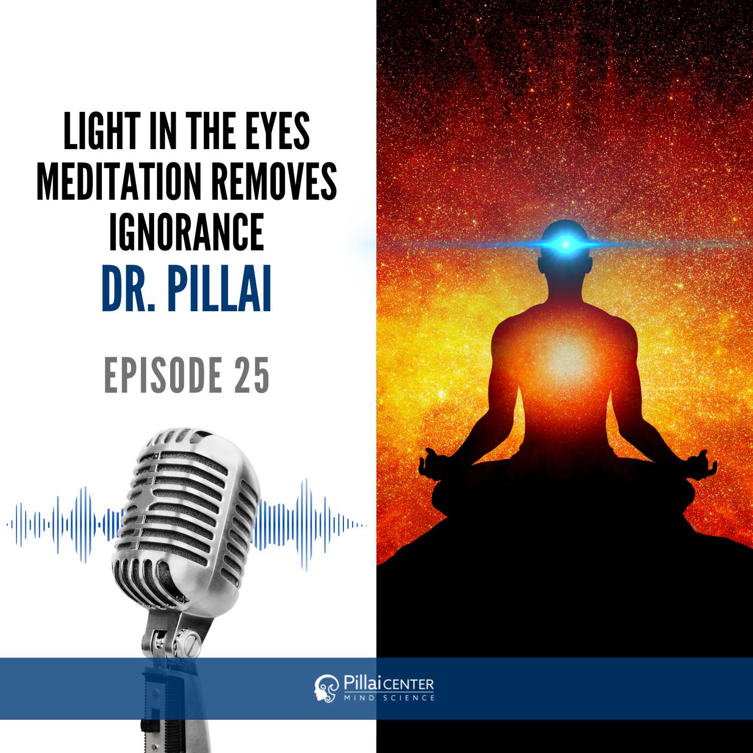 Light In The Eyes Meditation Removes Ignorance - Dr. Pillai