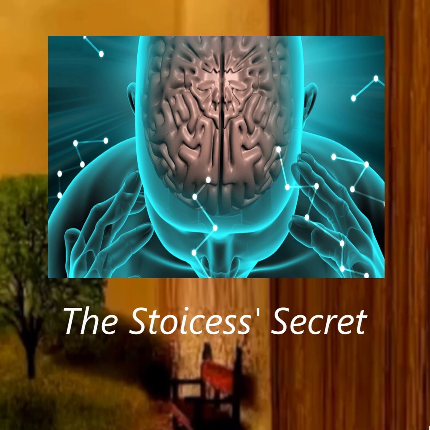 Stoicess' Secret: Get Paid to 