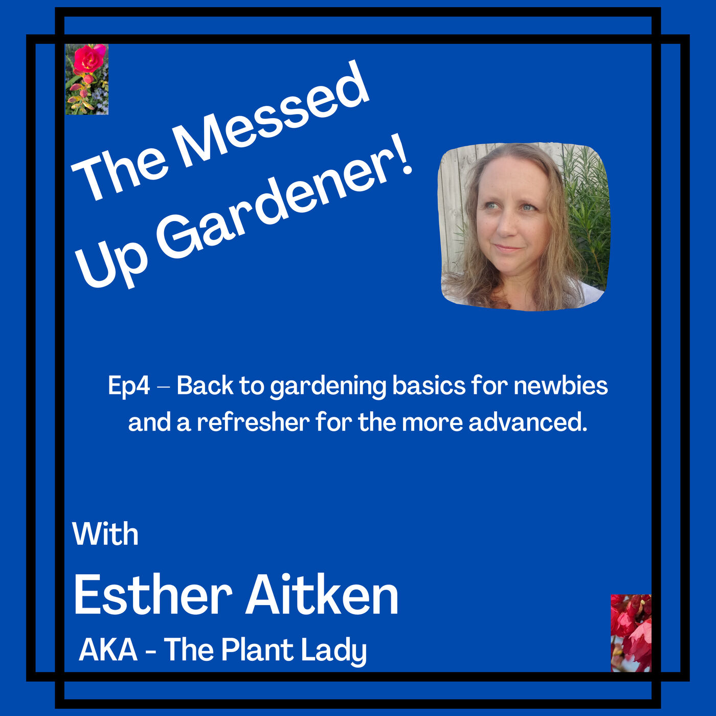 Ep4 – Back to gardening basics for newbies and a refresher for the more advanced.