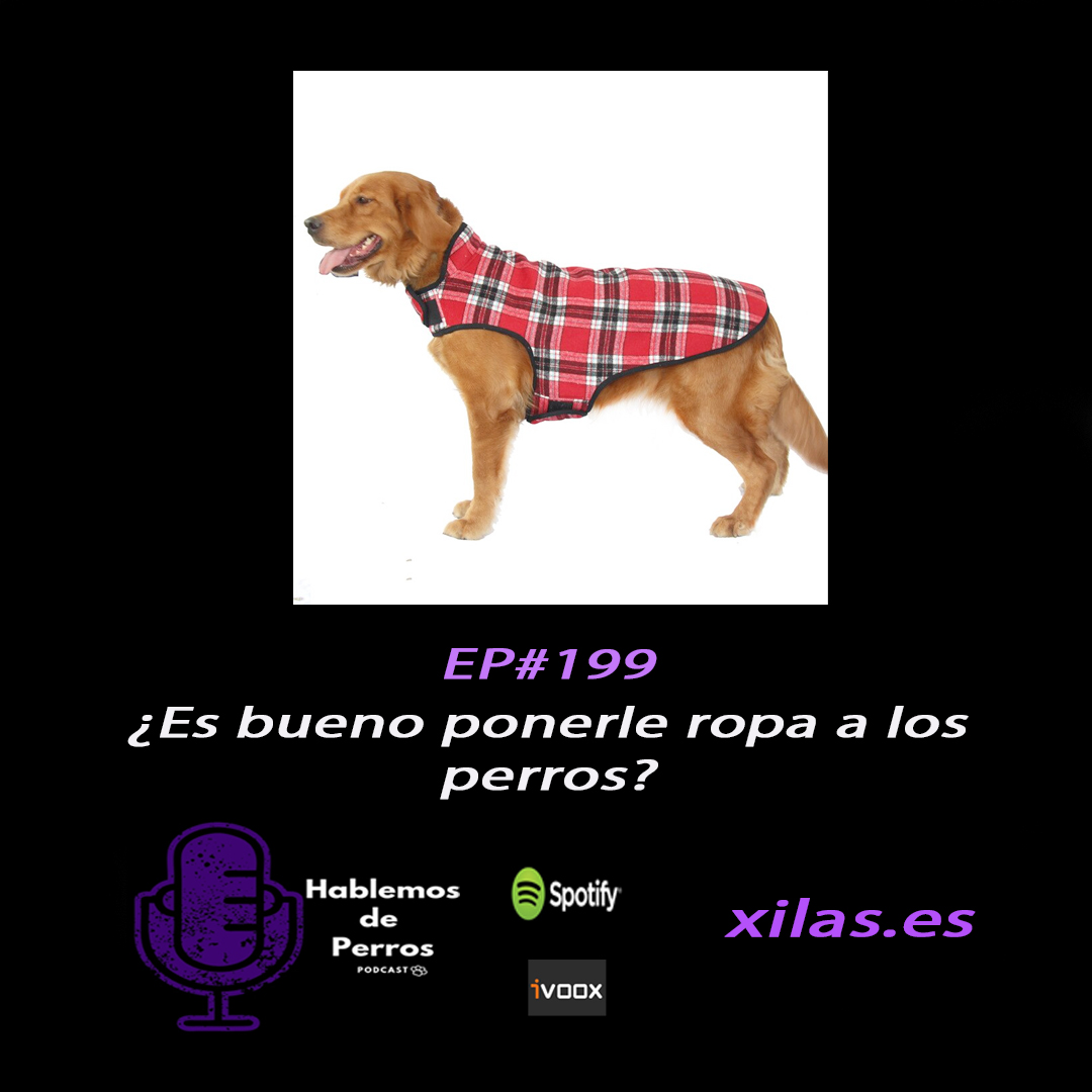 Episodio #199: Es bueno ponerle ropa a los perros?