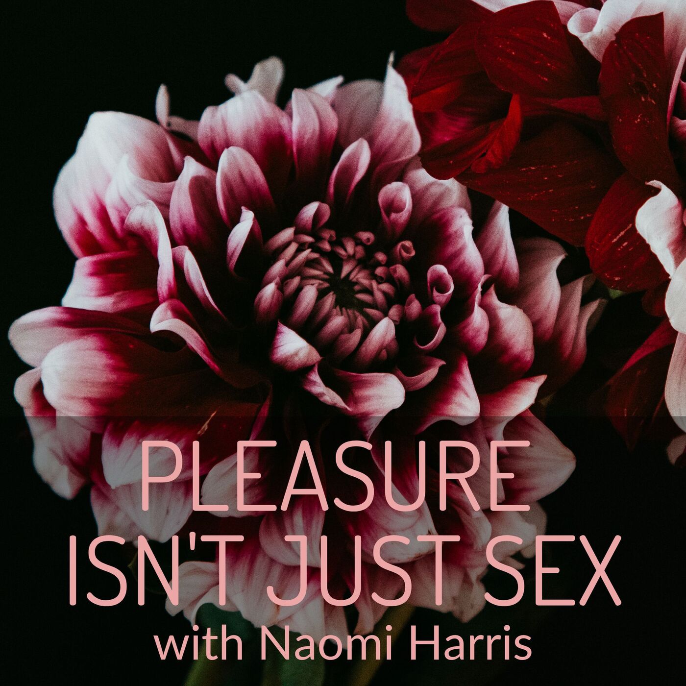 Pleasure Isn't Just Sex 