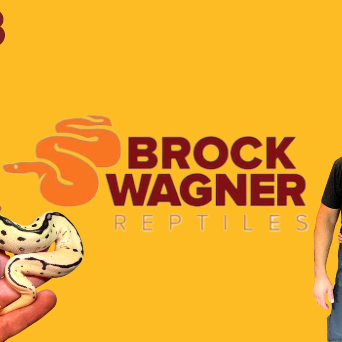 Brock Wagner discusses where he believes the Ball Python market is headed | The Trap Talk Podcast