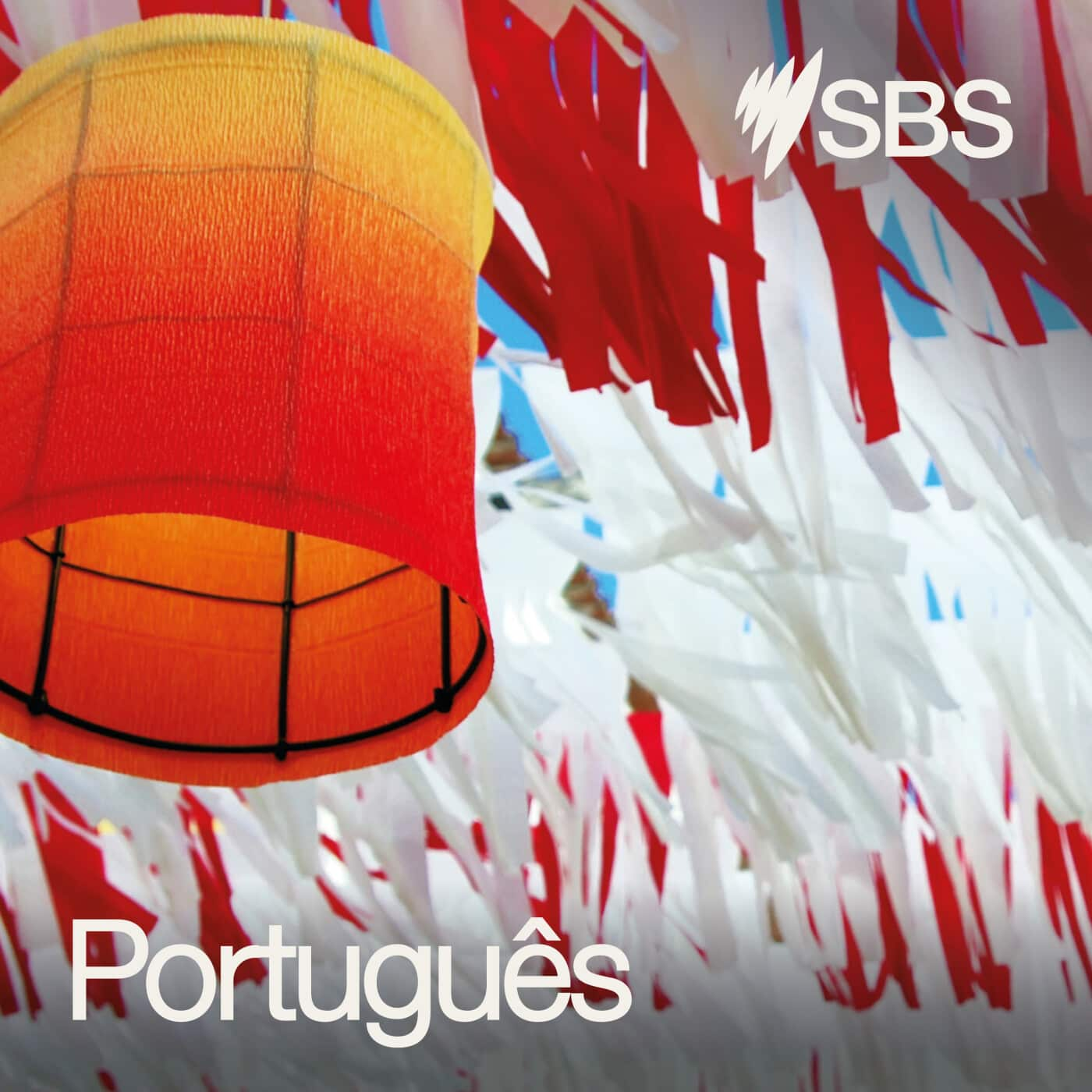 Programa ao Vivo | 6 de novembro| SBS Portuguese