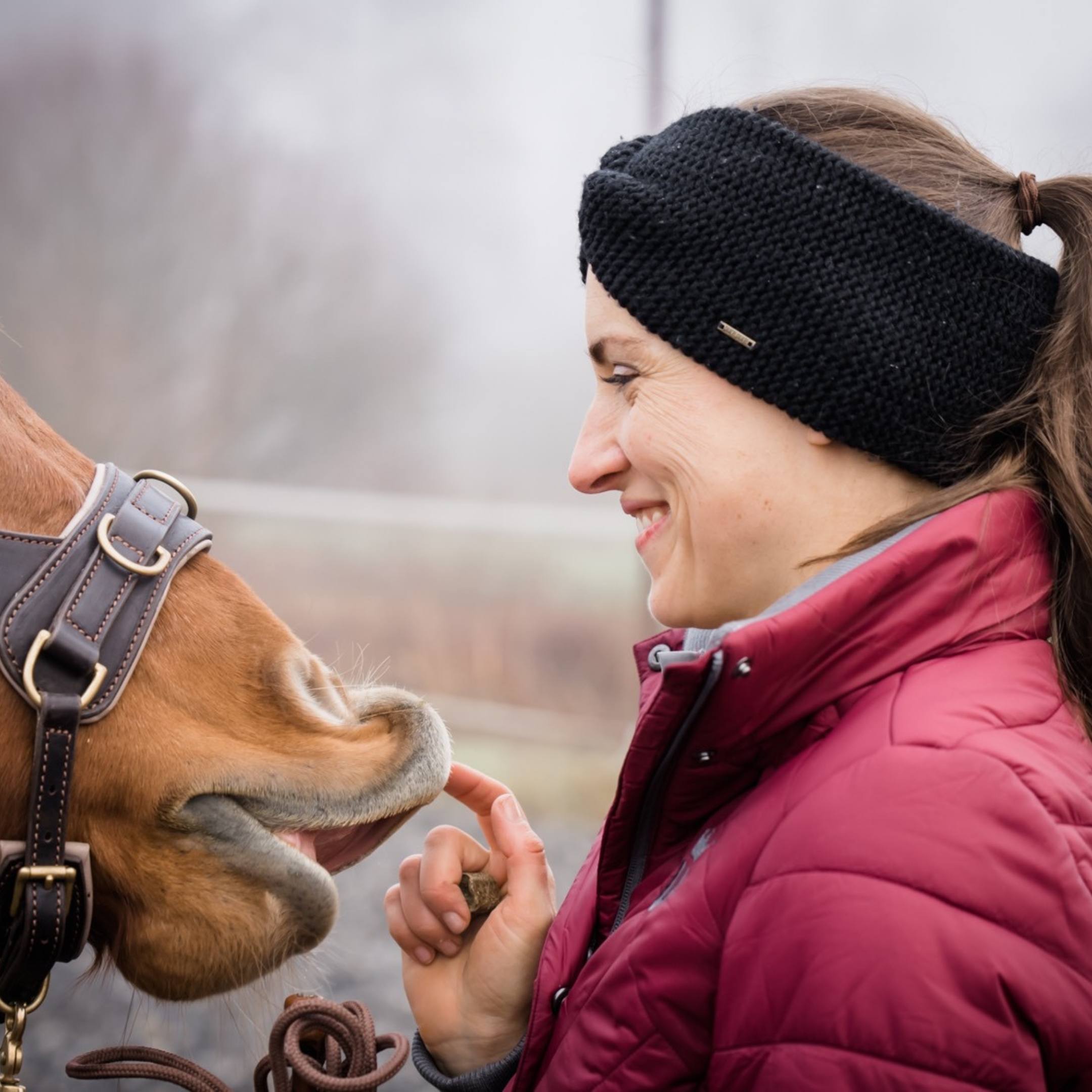 Mindset Magie! Warum deine Gedanken mitreiten