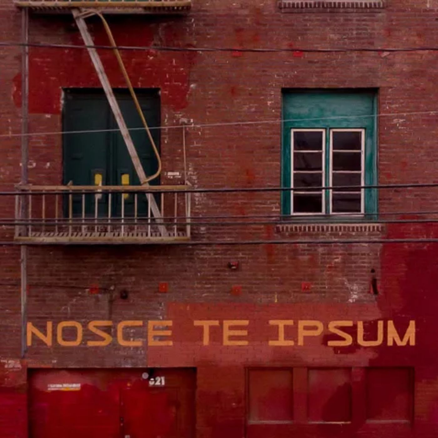 50in50 Week 34: Nosce Te Ipsum