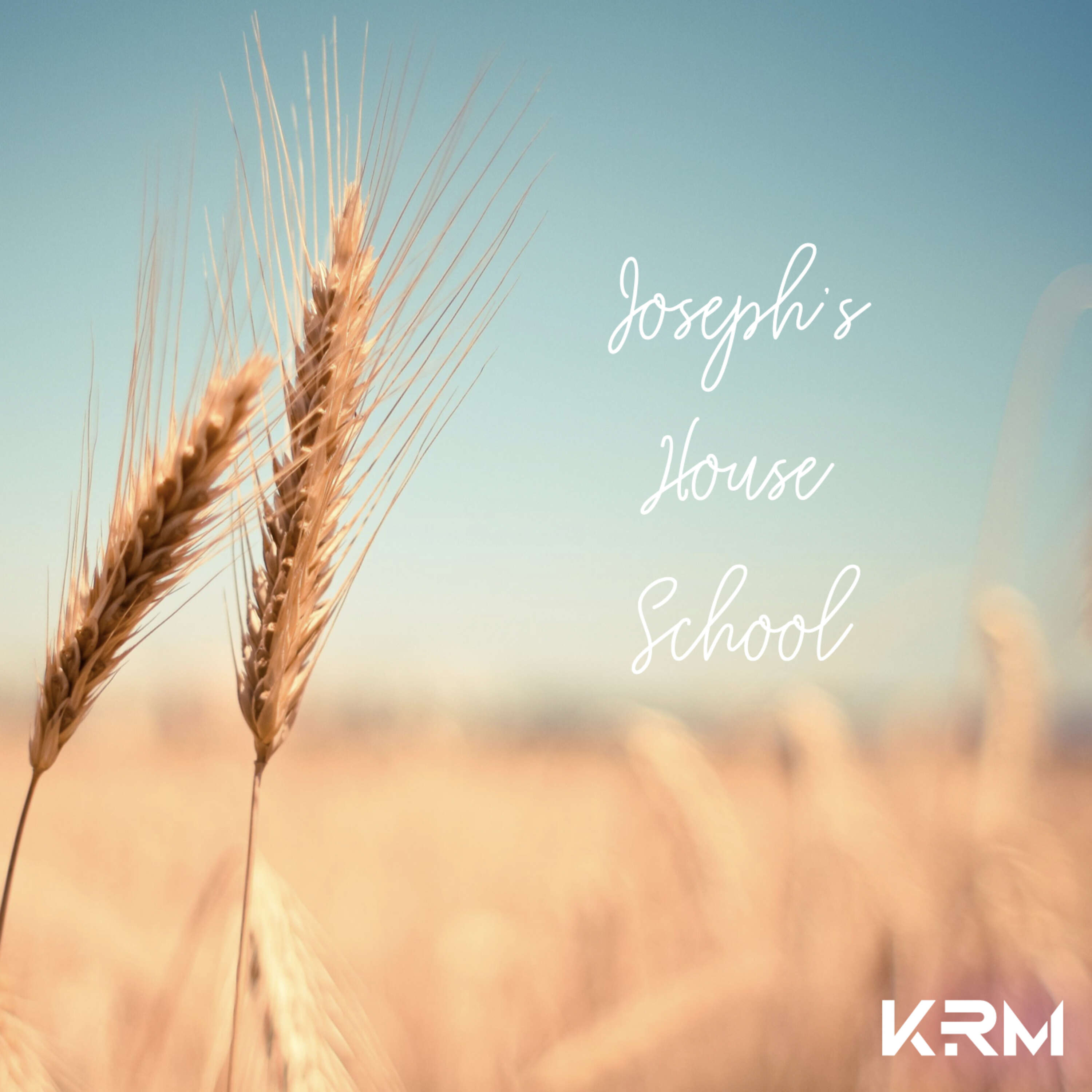 Sal y luz - Vamos por más