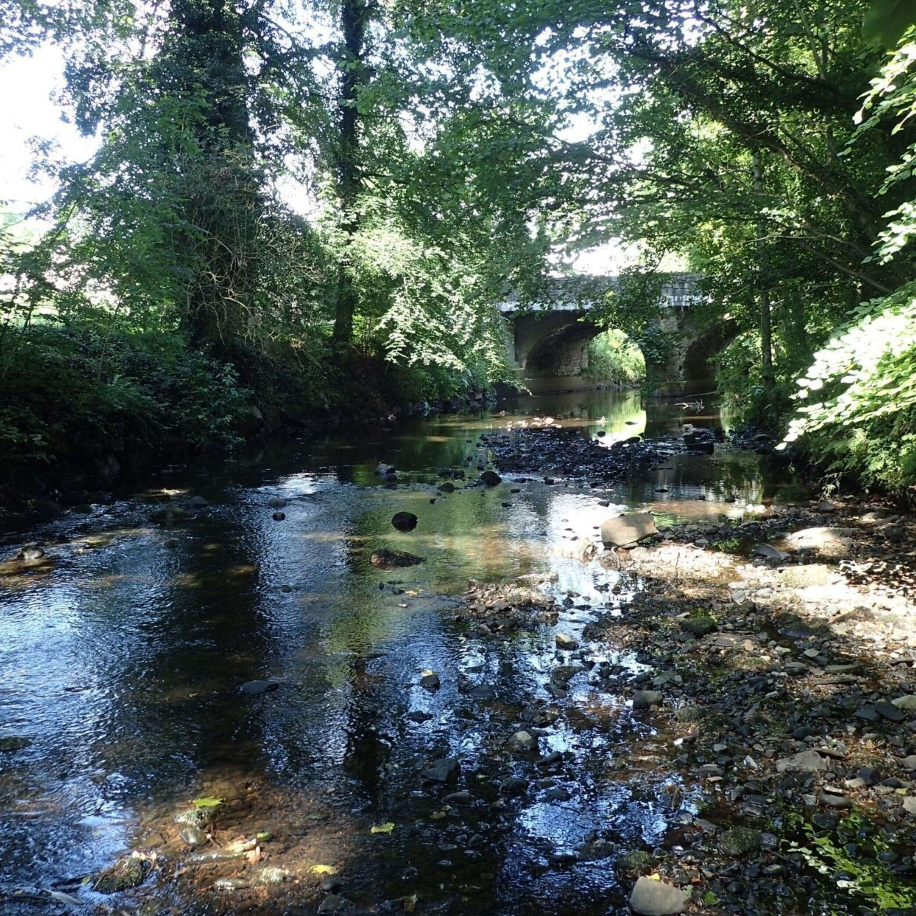 The Good & the Bad from the latest Water Quality in Ireland Report