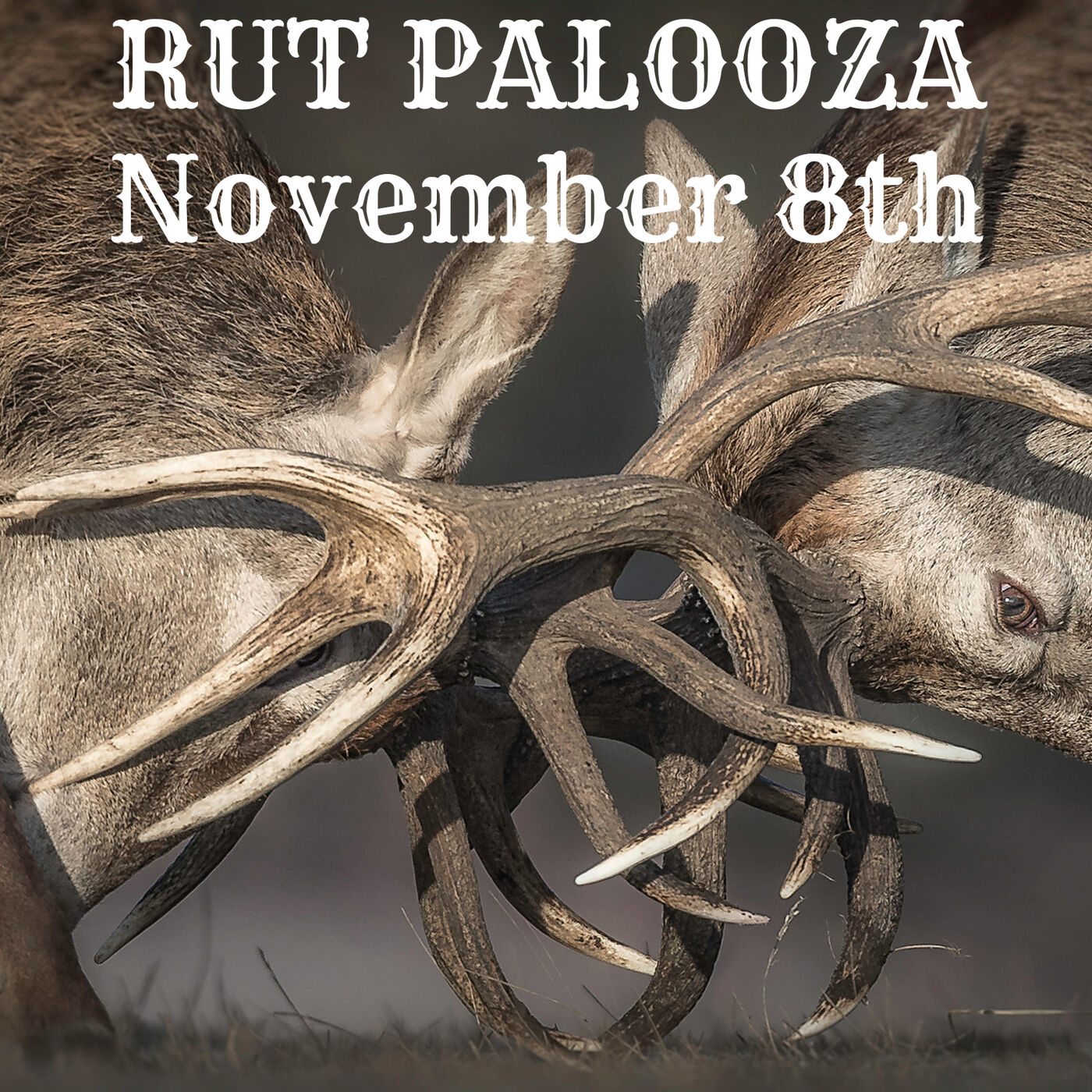 RUT PALOOZA - NOVEMBER 8TH