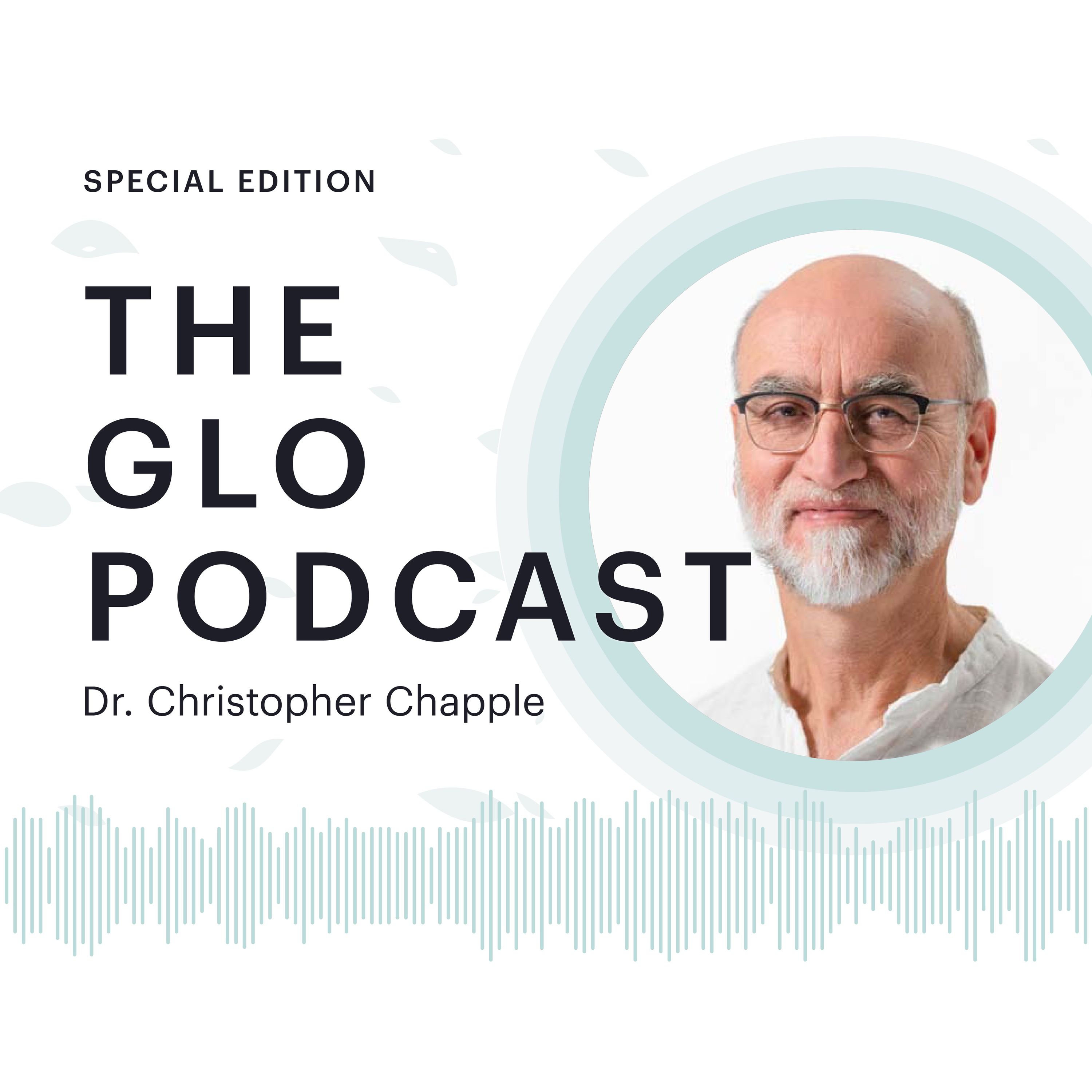 Bonus Episode: The Yoga Sutras of Patanjali, with Dr. Christopher Chapple Part 2