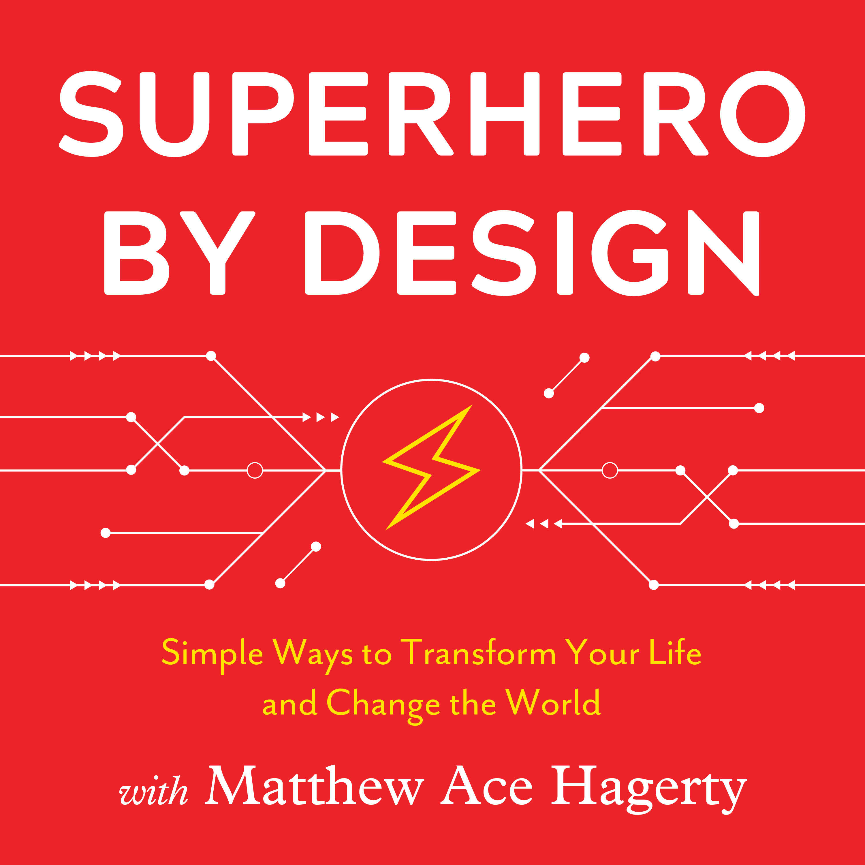 Life Transformation in 100 Days, Superheroes By Design with Matthew ''Ace'' Hagerty