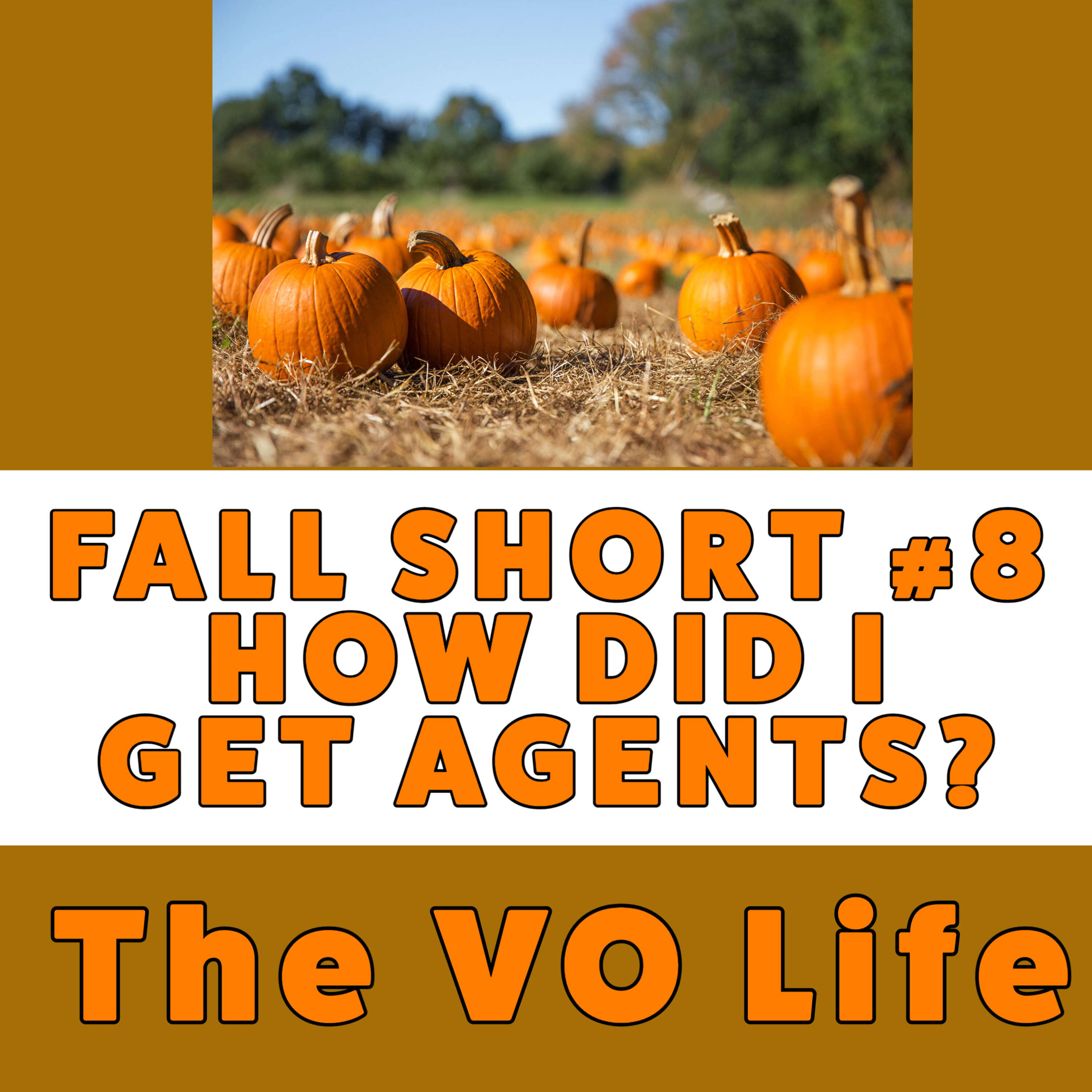 The VO Life Ep 82 - Shorts #8  How I Got Agents