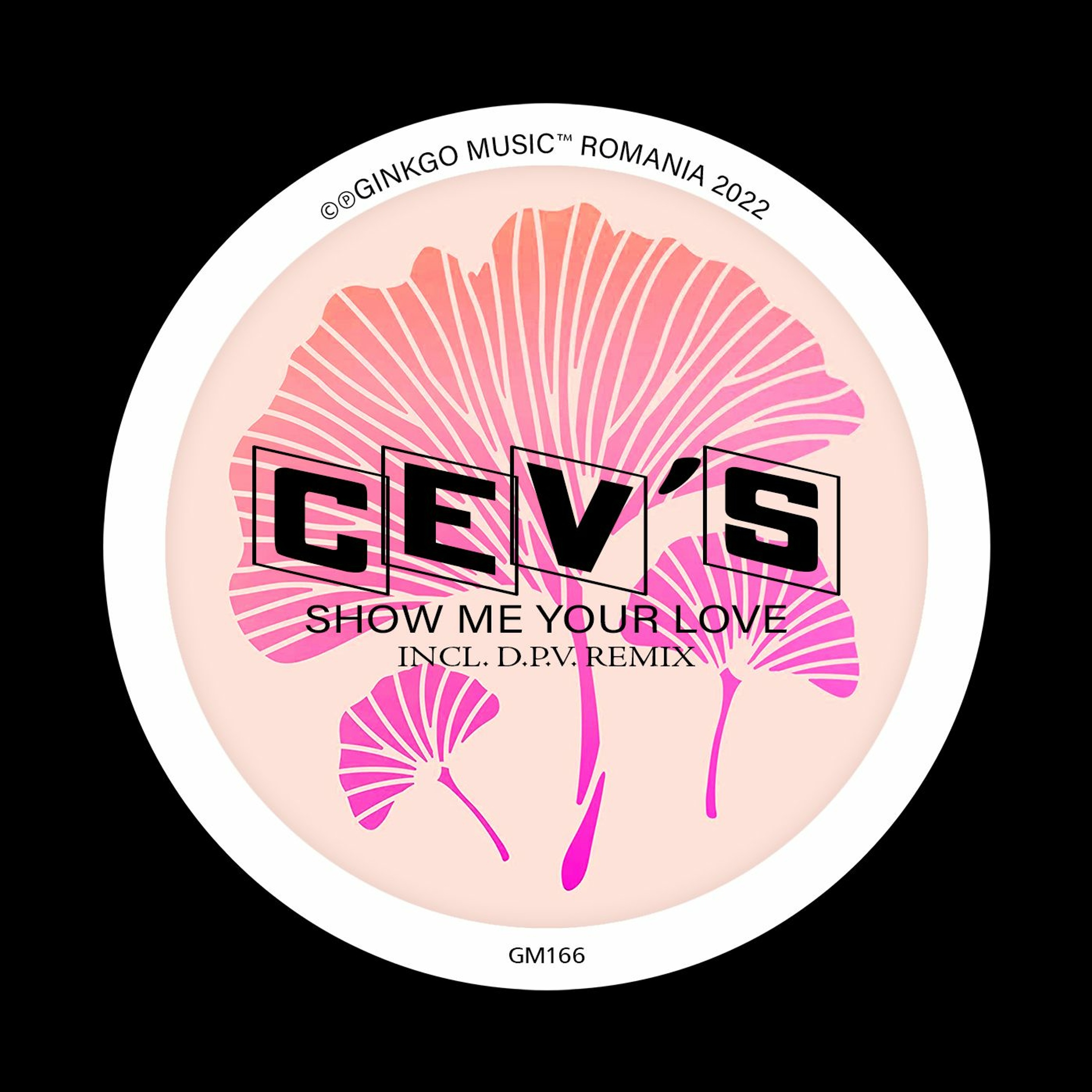 CEV's - Show Me Your Love (D.P.V. Remix)