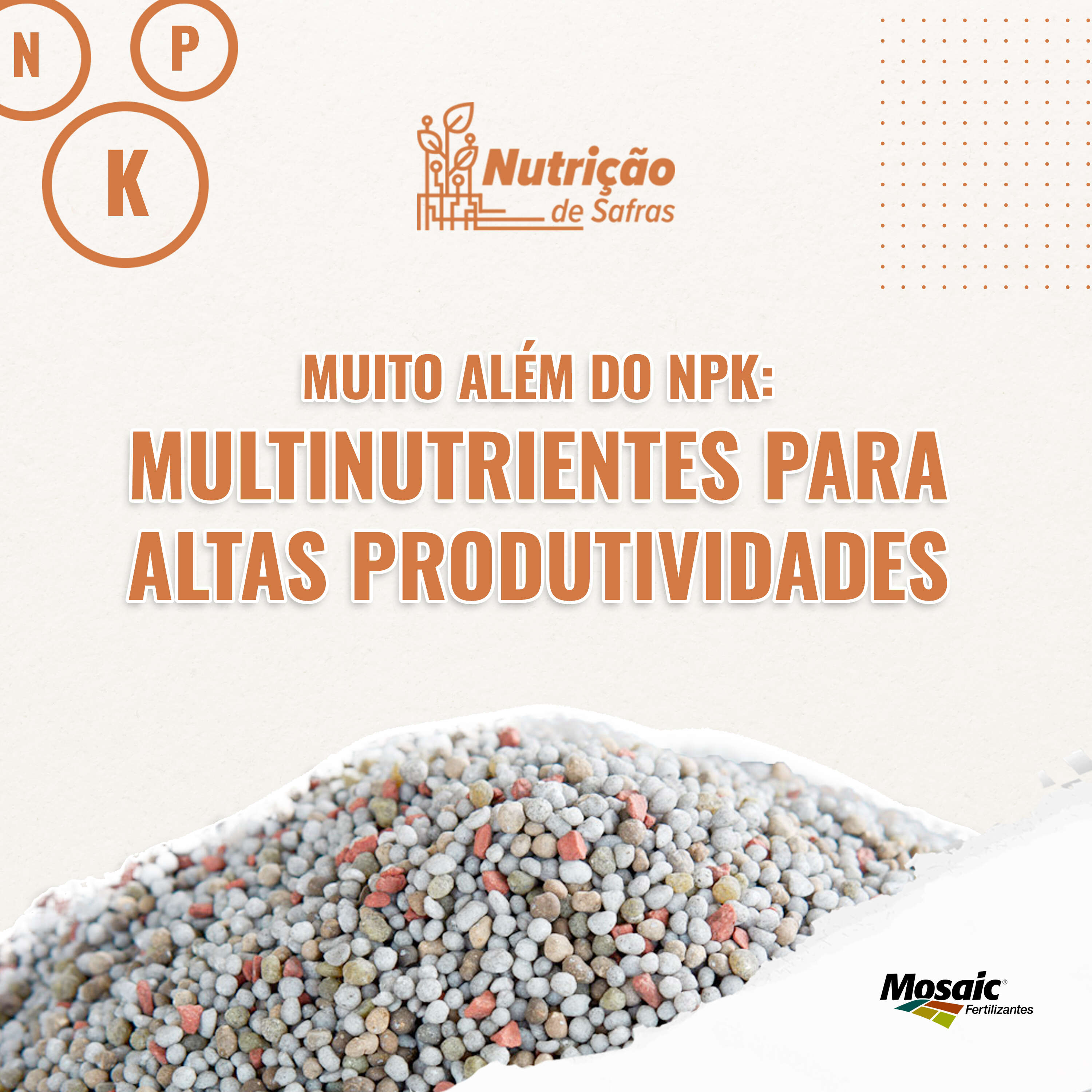 Muito além do NPK: multinutrientes para altas produtividades