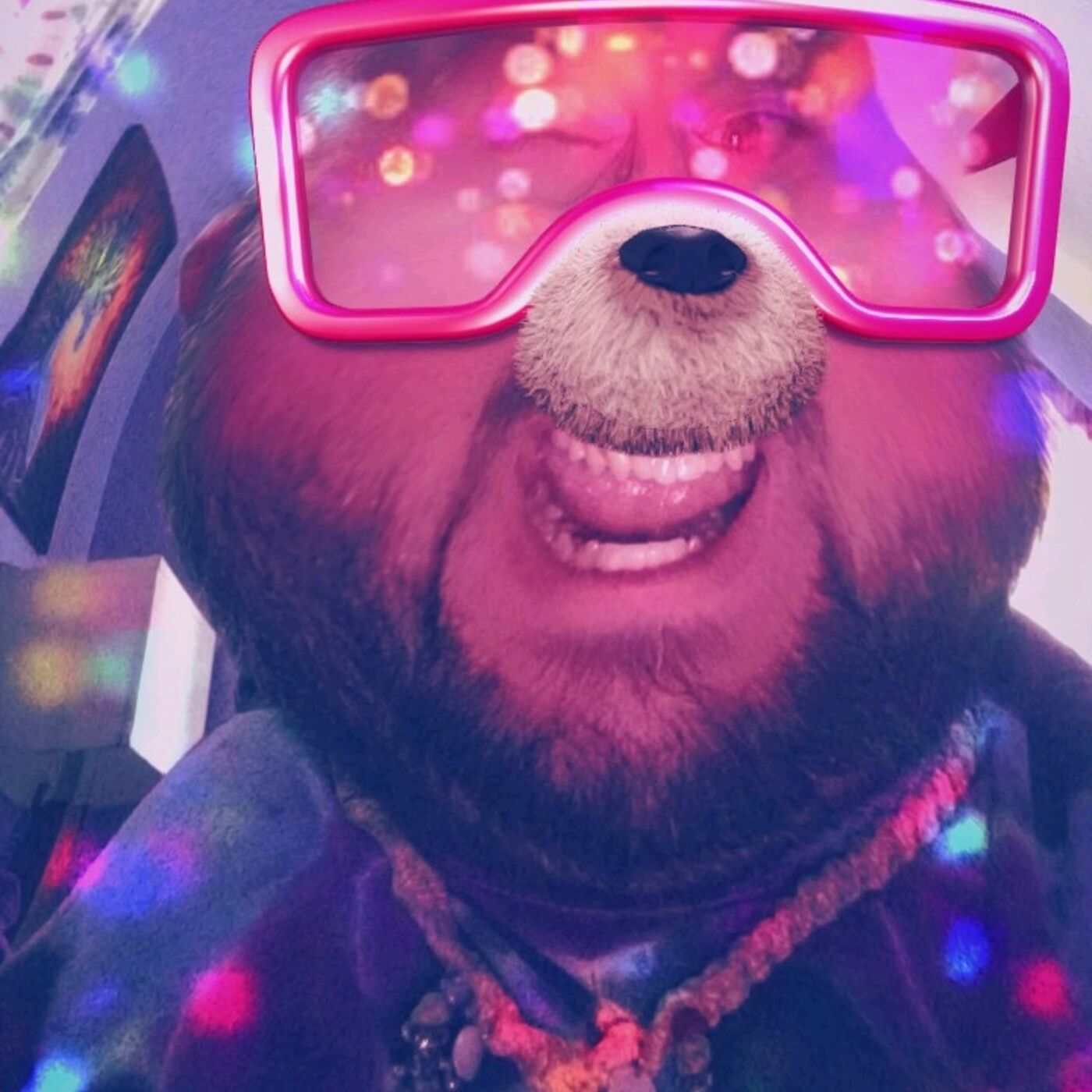 Feeling Viked S2 - The Morning After Spill - Week 12 Patriots vs Vikings