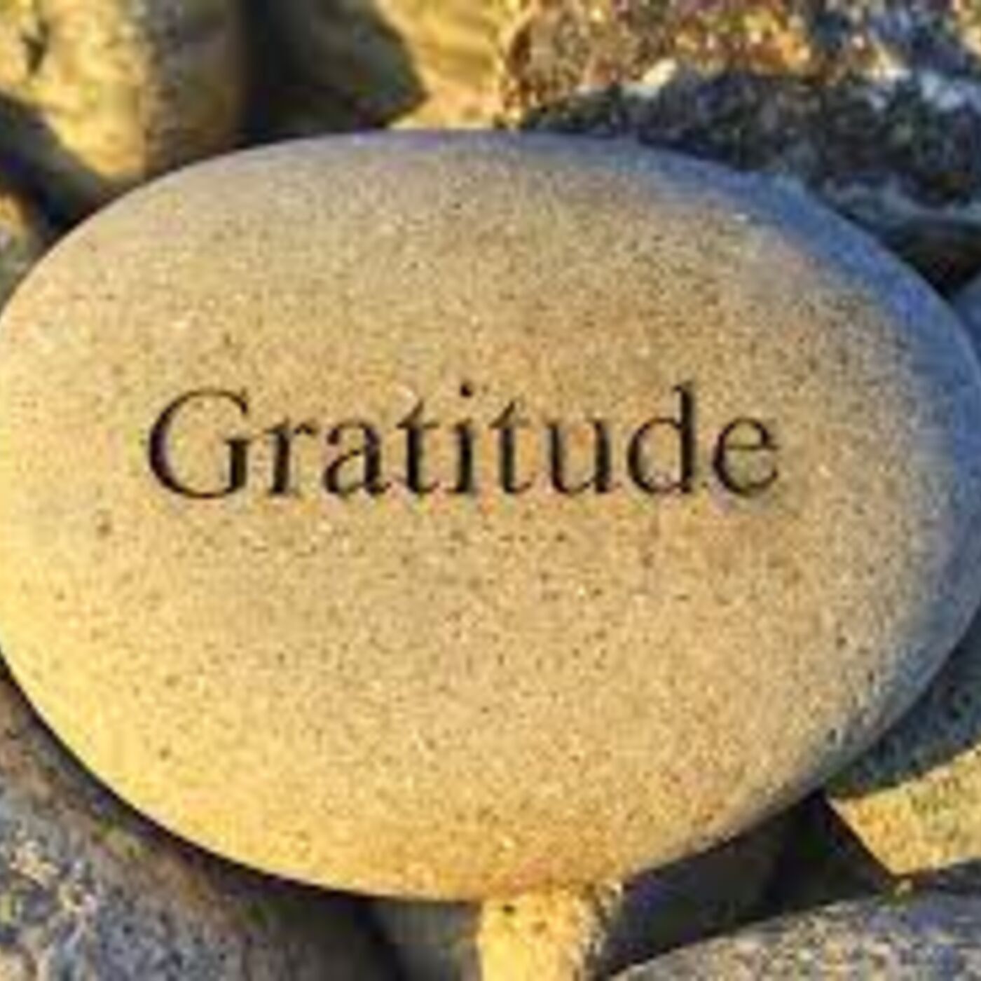 Gratitude