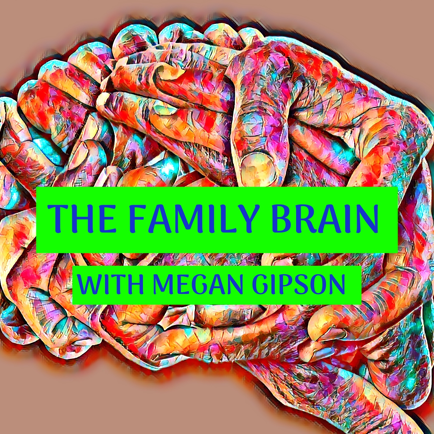 The Family Brain with Megan Gipson 