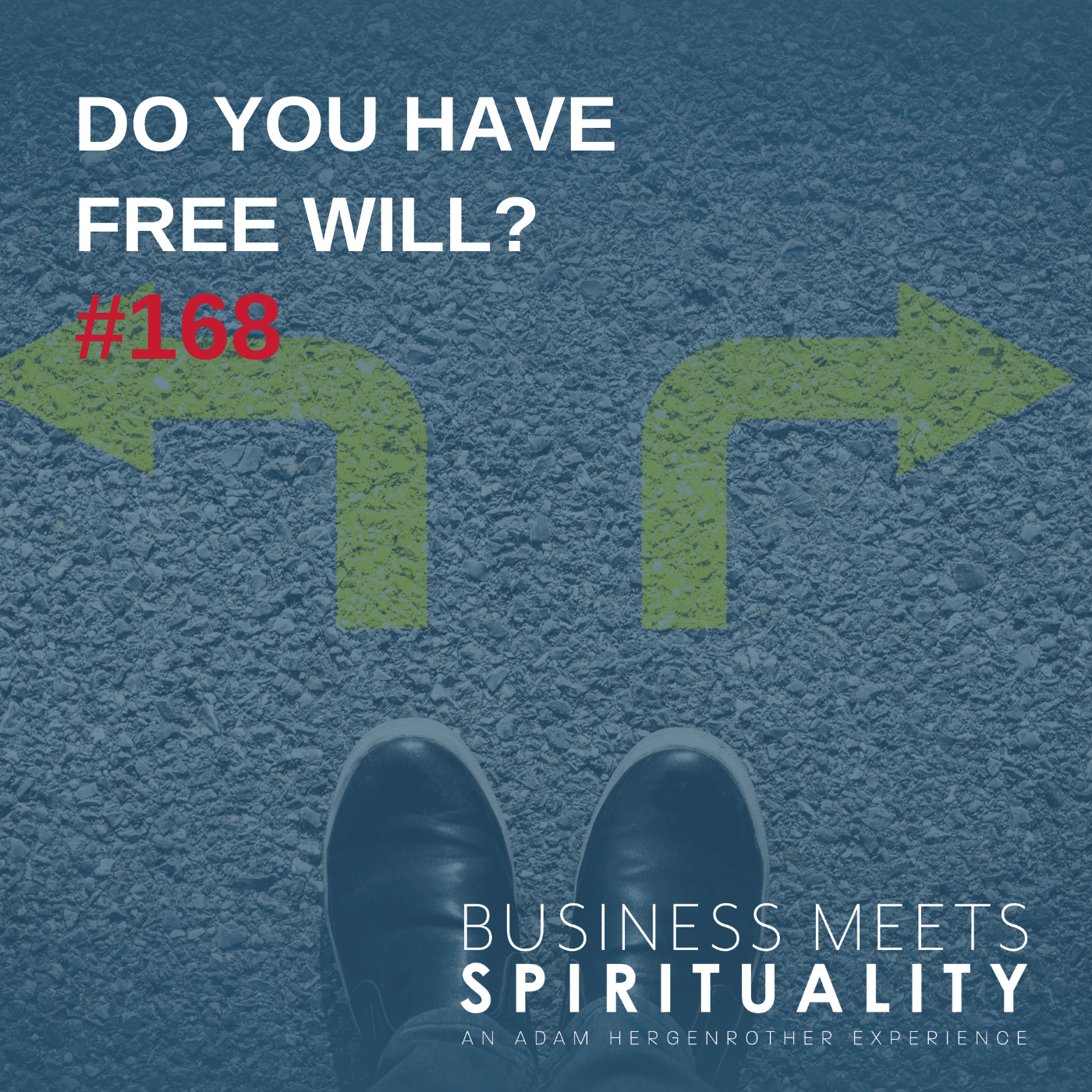 Do You Have Free Will?