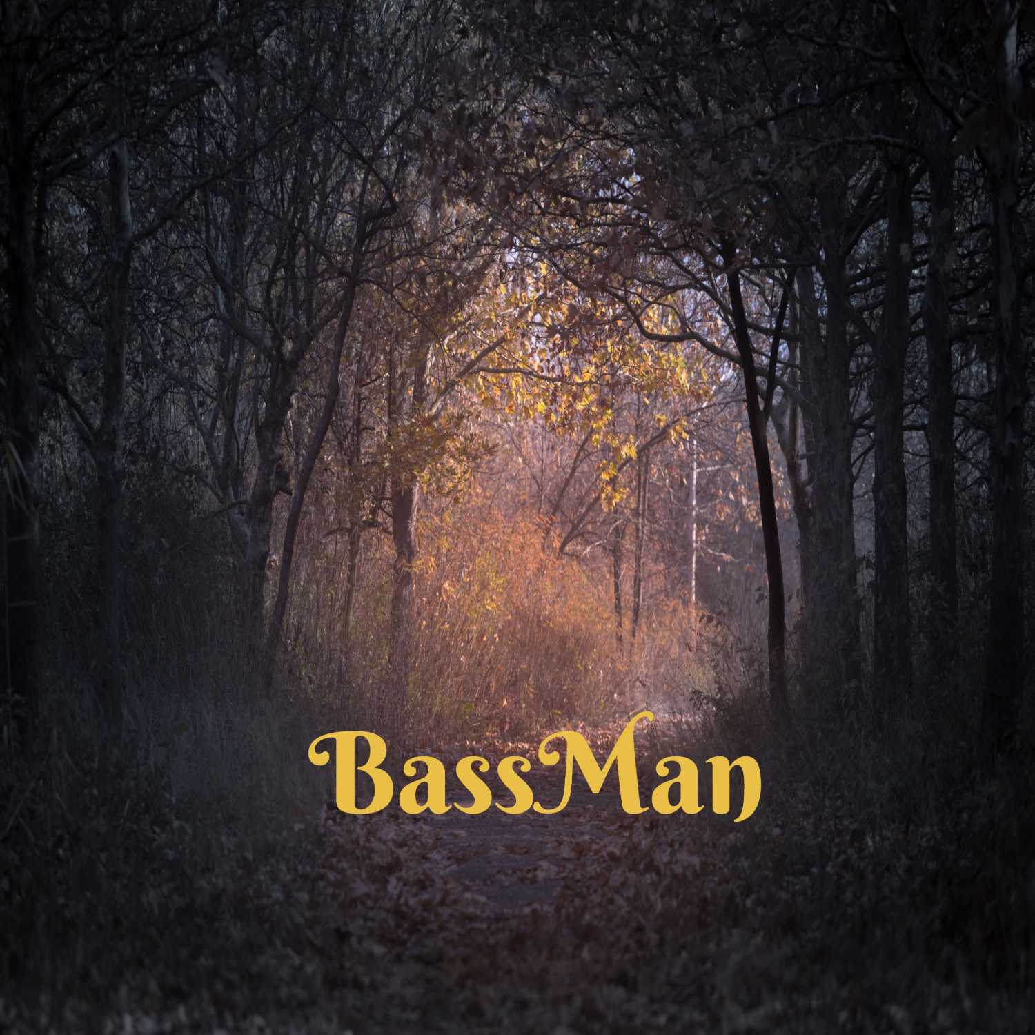 BassMan (Mixtures Of Bass House N House)