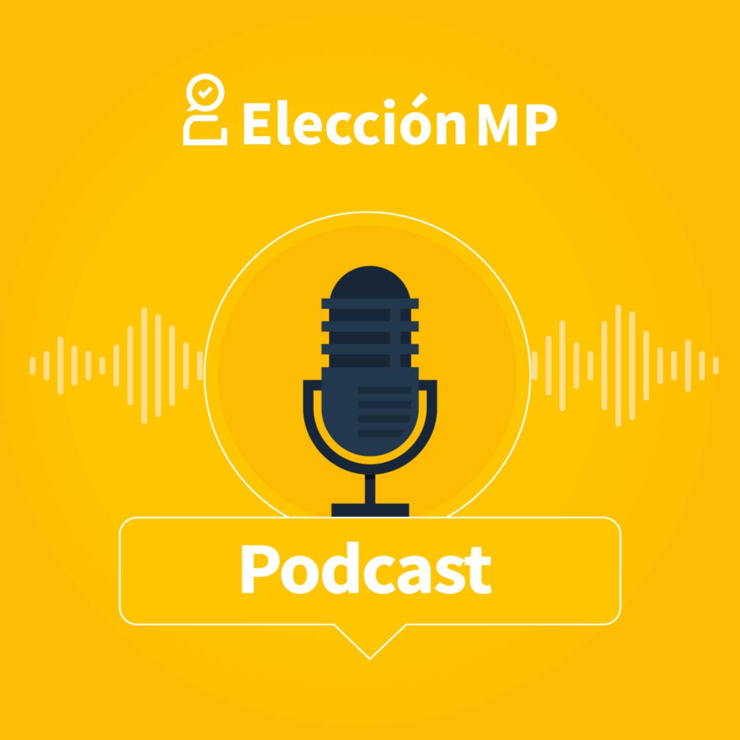 Nuestra Elección - ¿Cómo es el proceso electoral? 