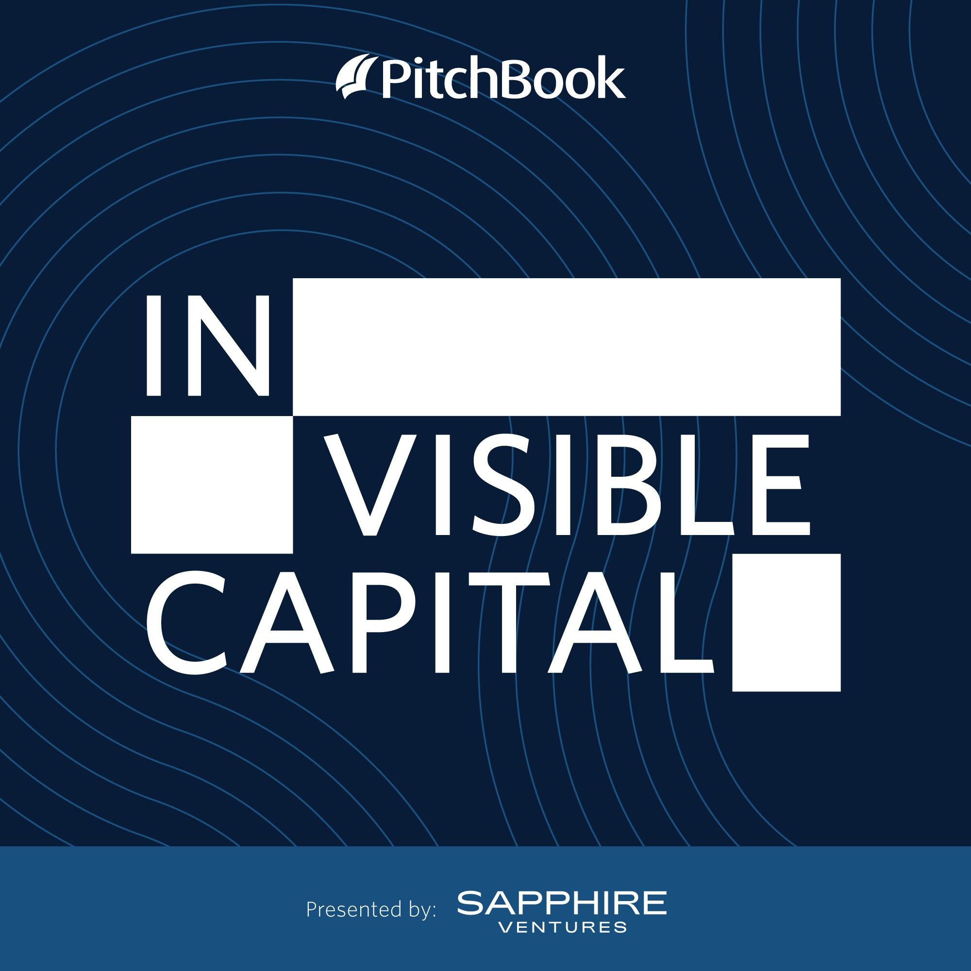 The venture debt playbook