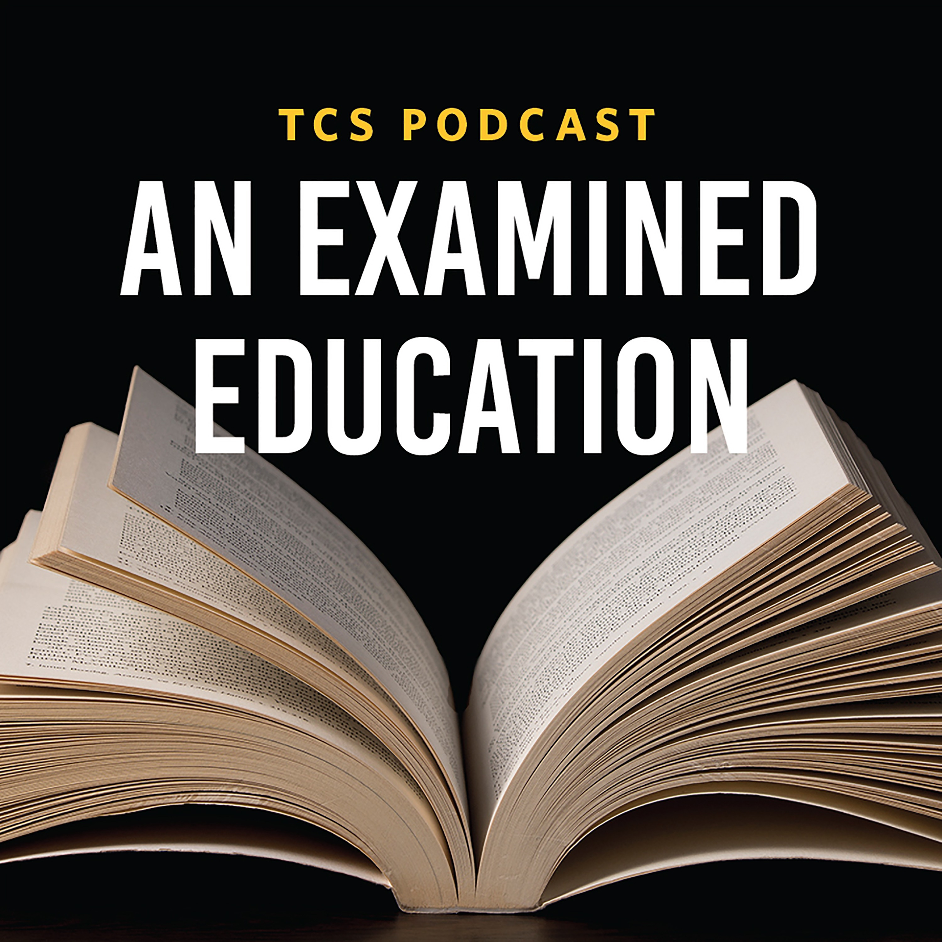 An Examined Education 