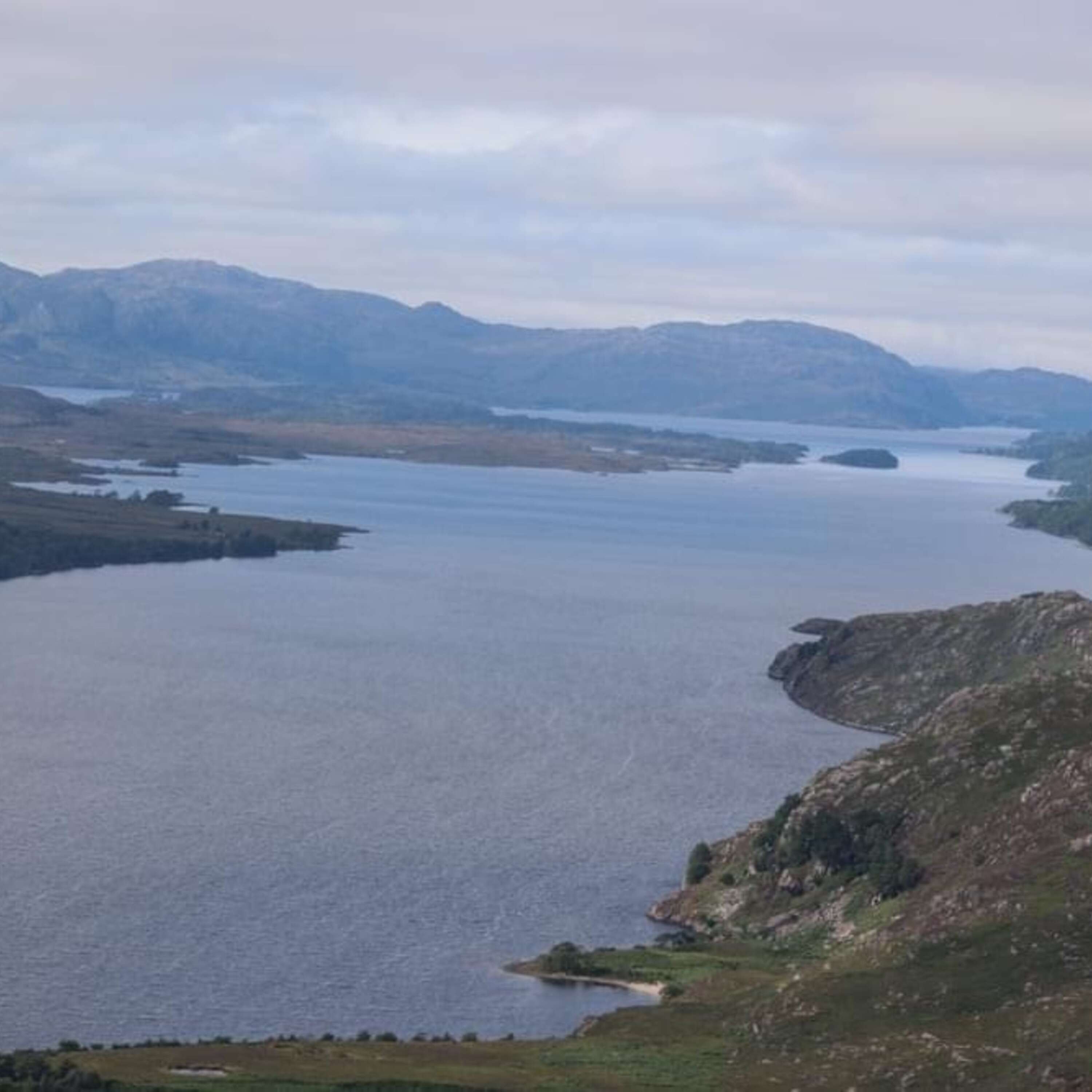 Bonus Ep: Fish farms & sea lice on Loch Maree